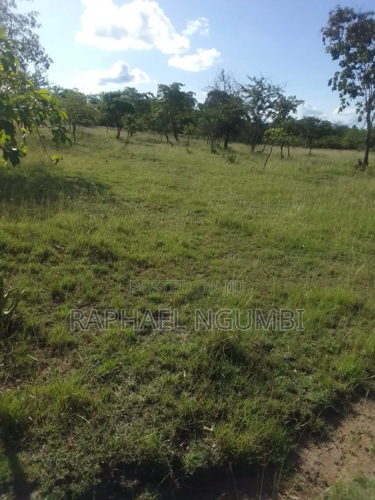 40 Acres at Kithimani Mamba in Kithimani