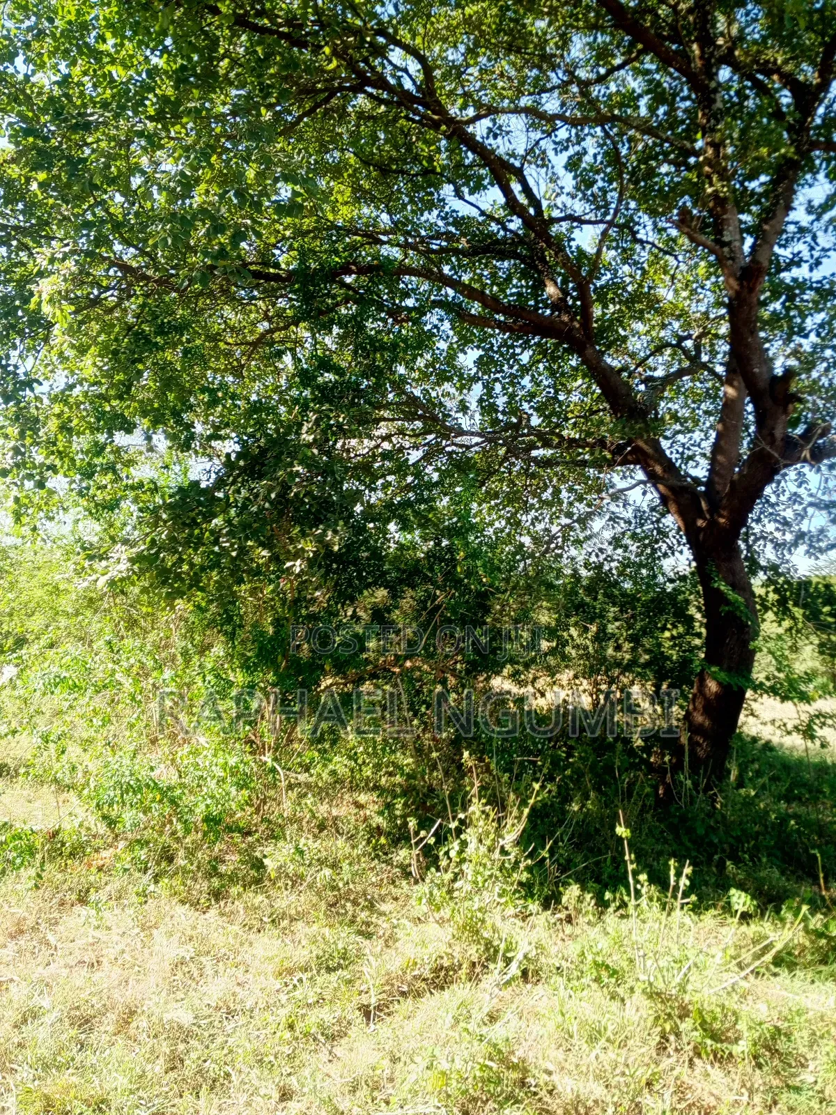 Ten (10) Acres at Machakos Kithangaini in Lower Kaewa/Kaani