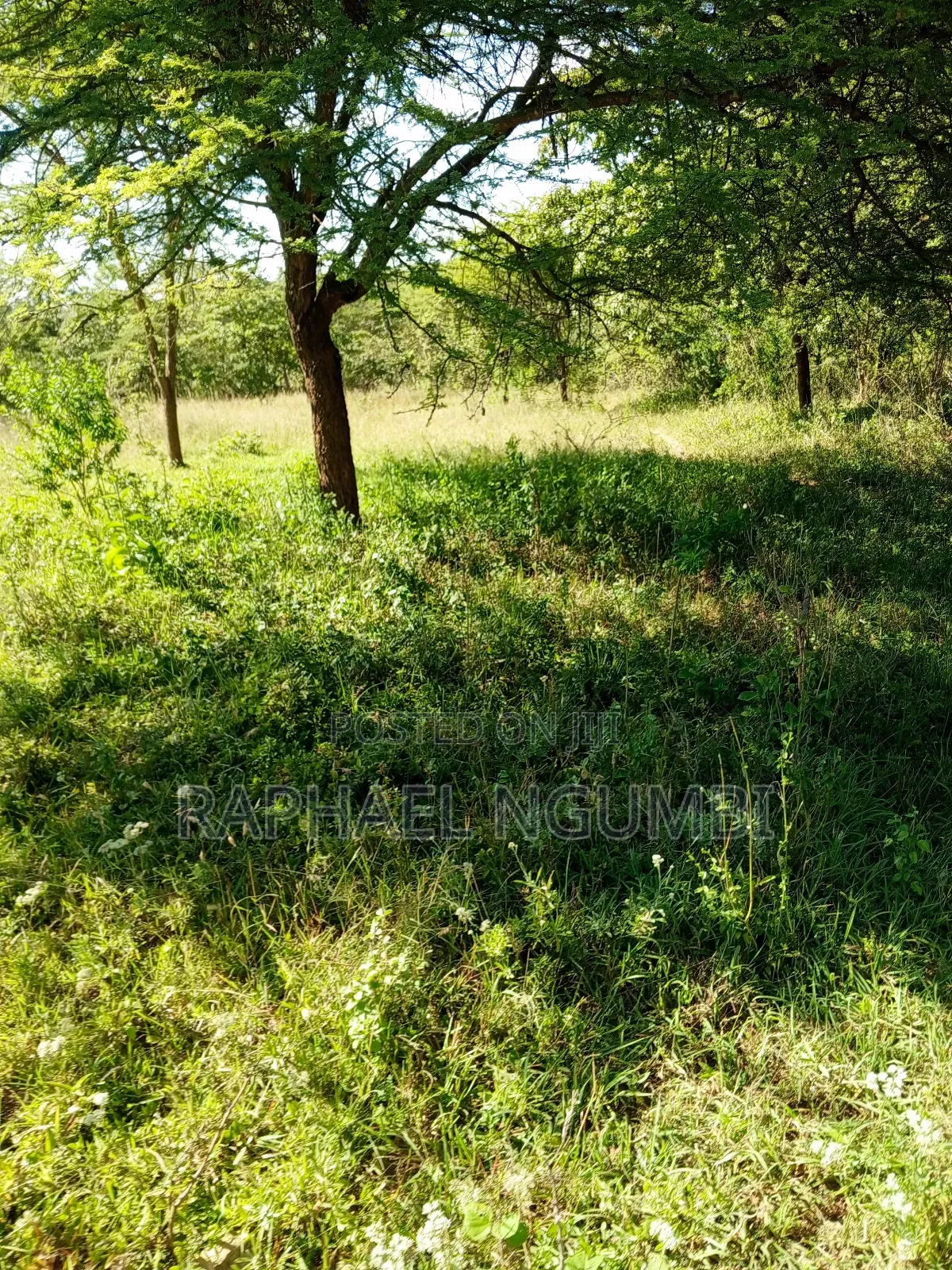 Ten (10) Acres at Machakos Kithangaini in Lower Kaewa/Kaani