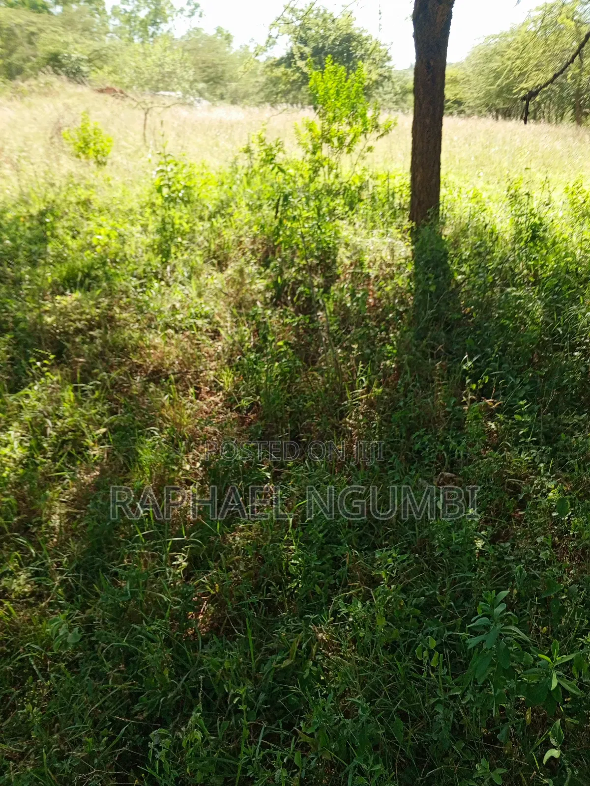 Ten (10) Acres at Machakos Kithangaini in Lower Kaewa/Kaani