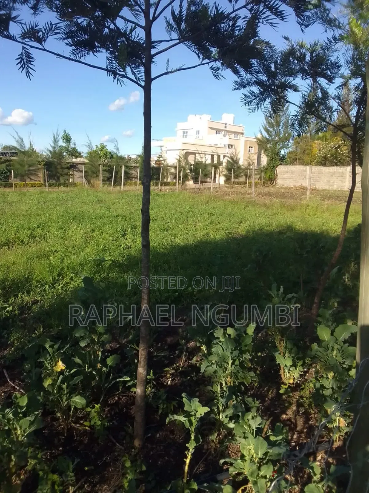 Prime 100*100 Plot at Kitengela Kag University in Kitengela