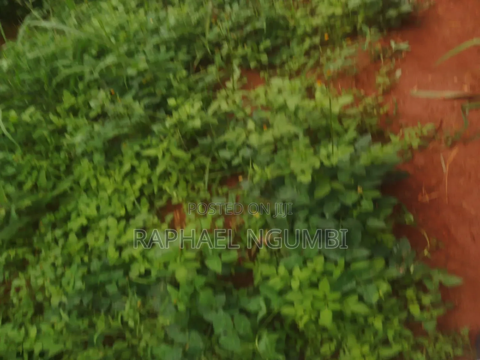 20 Acres at Machakos Wamunyu Touching Athi River in Athi River