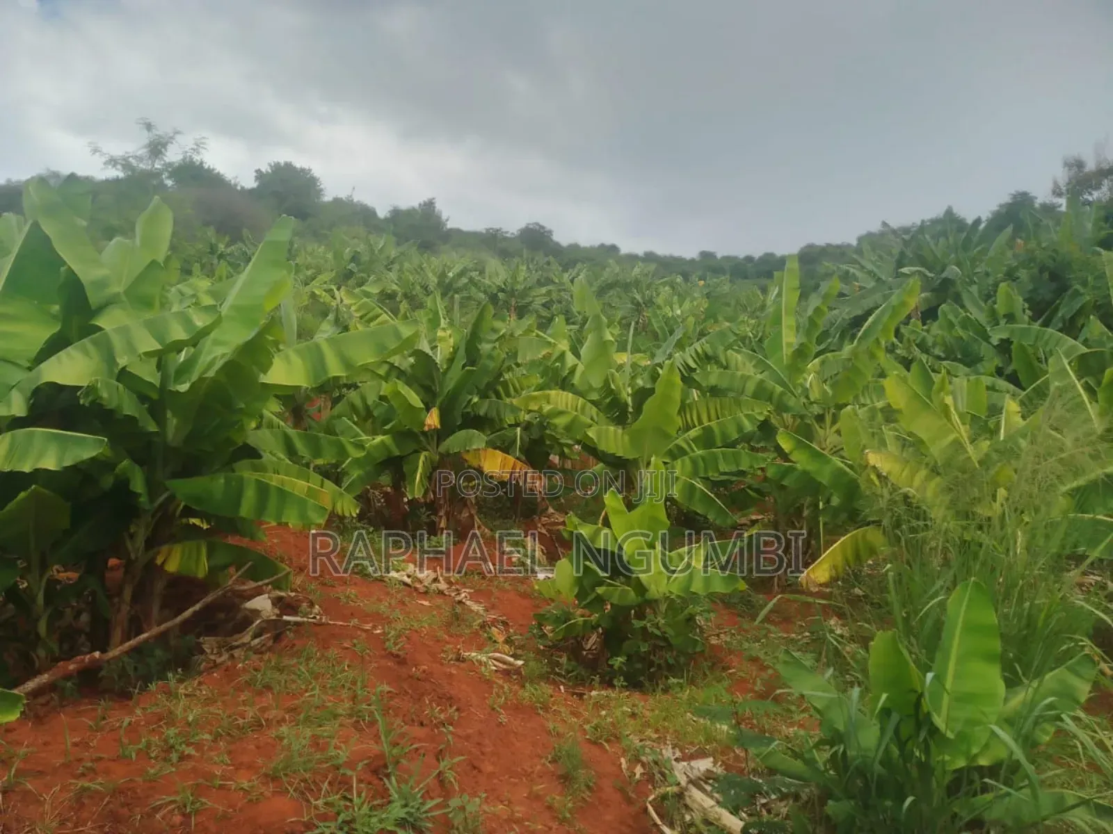 20 Acres at Machakos Wamunyu Touching Athi River in Athi River
