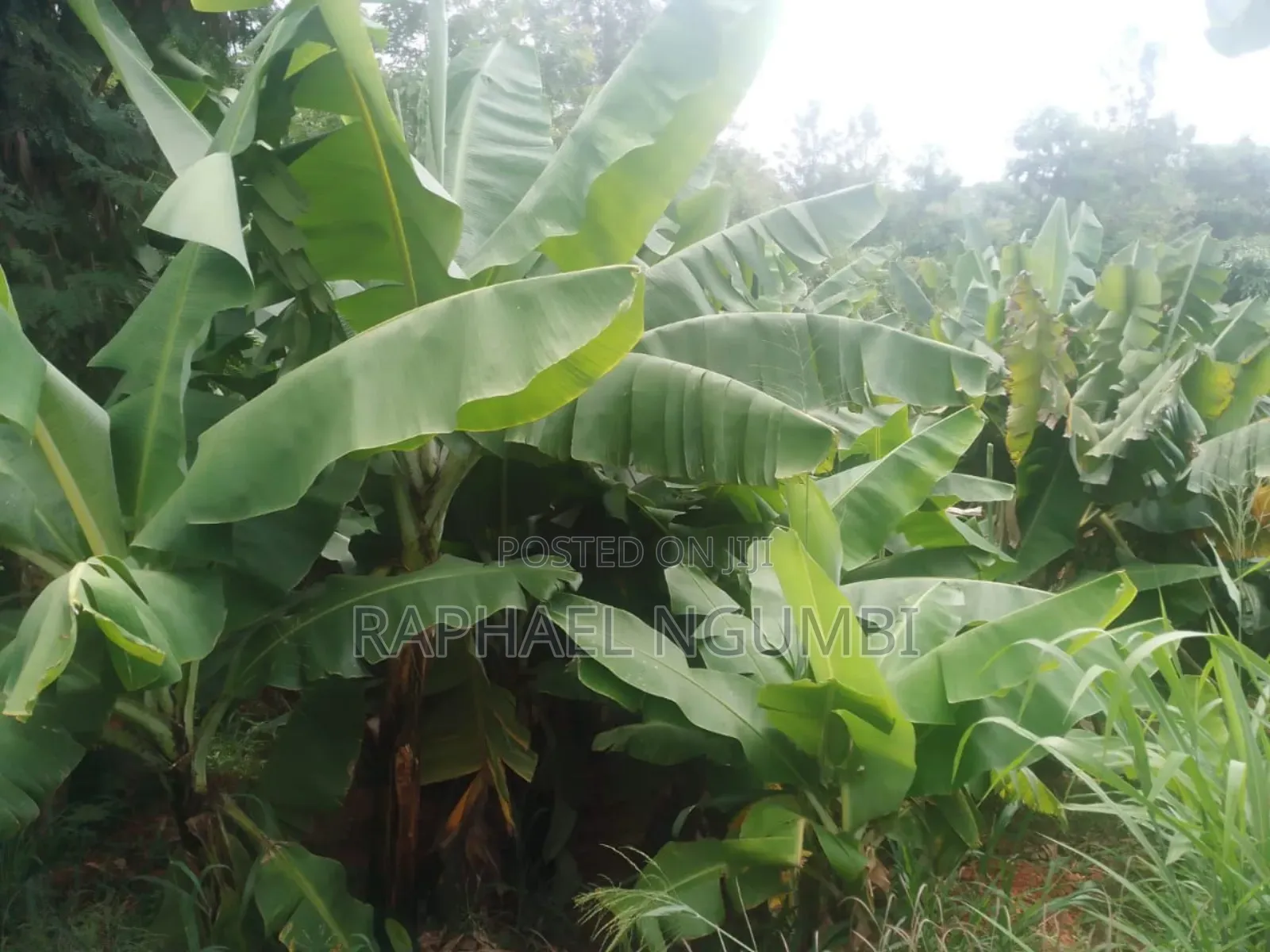 20 Acres at Machakos Wamunyu Touching Athi River in Athi River