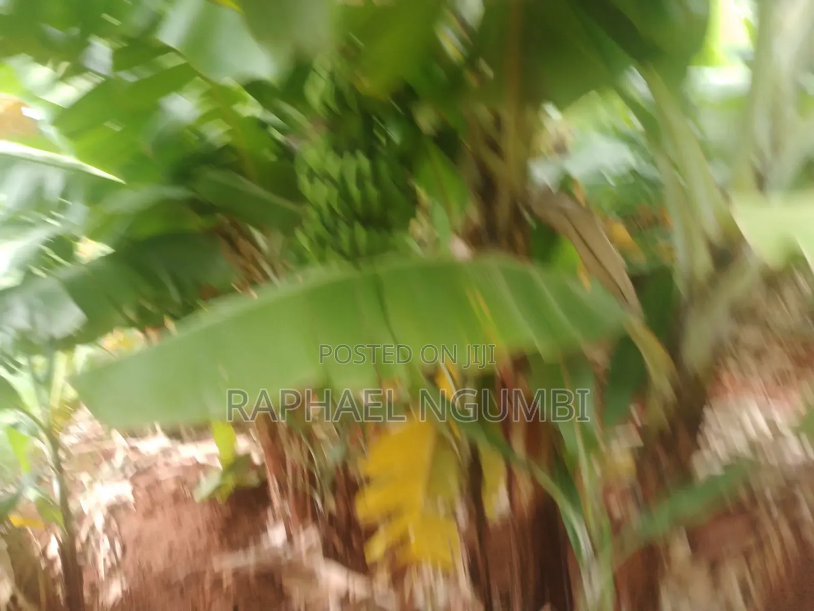 20 Acres at Machakos Wamunyu Touching Athi River in Athi River