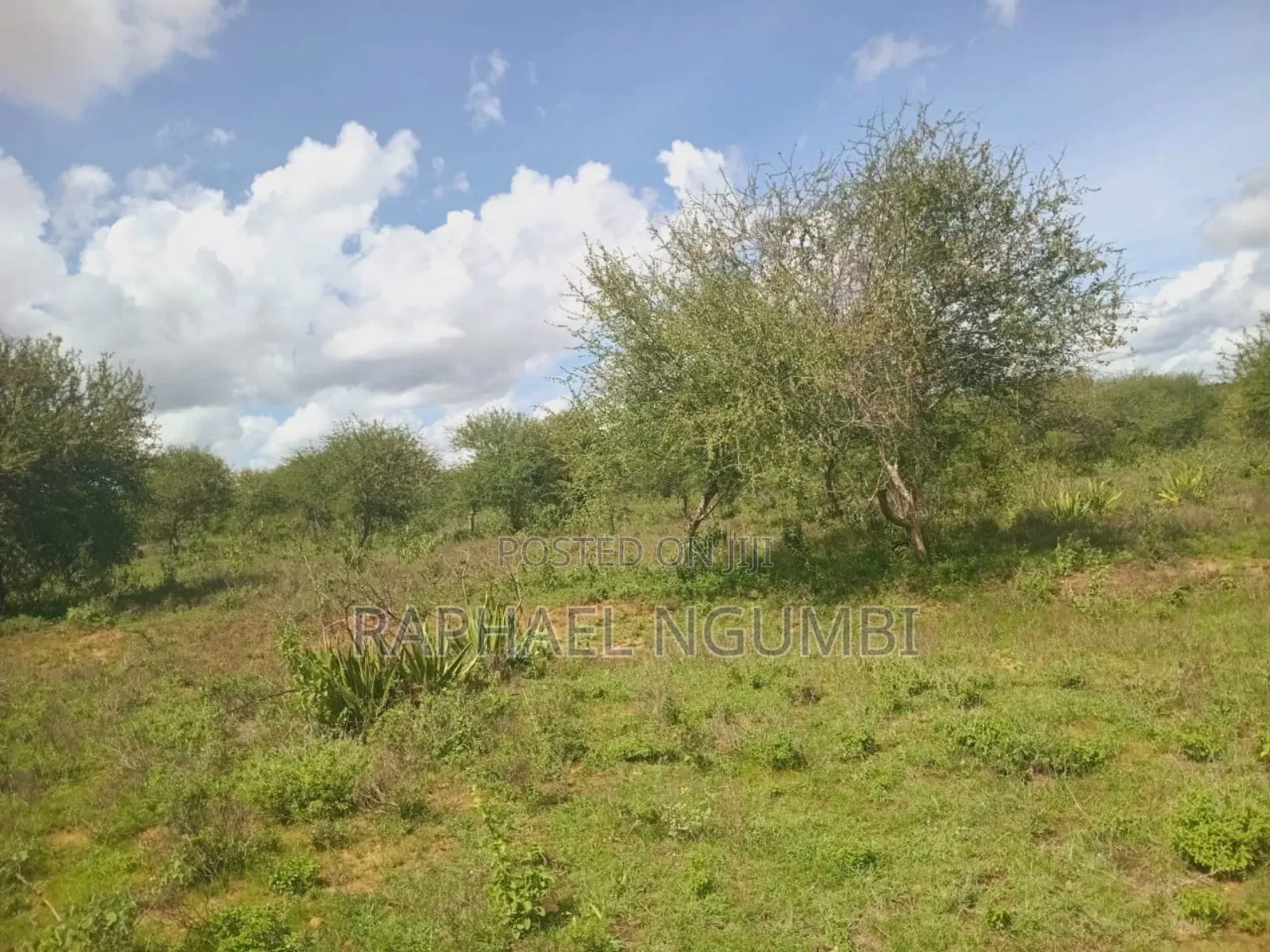 10 Acres at Konza Ulu in Malili