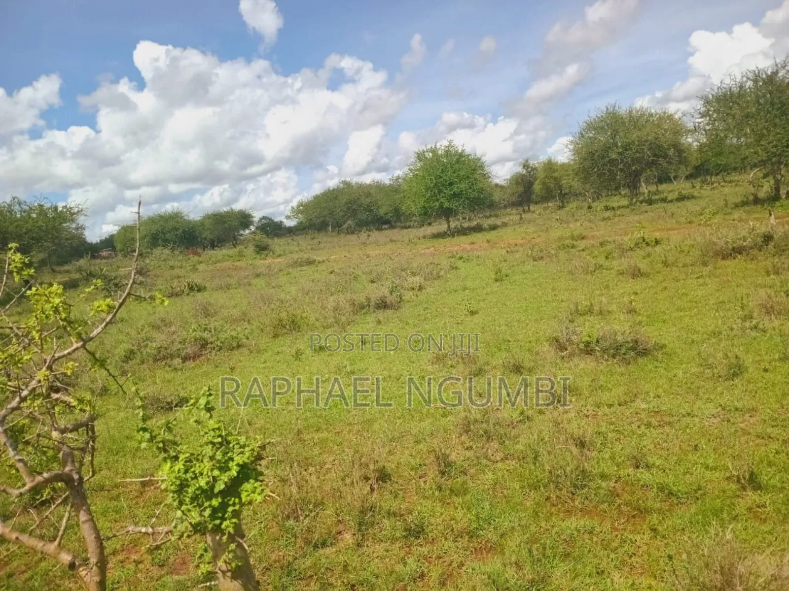 10 Acres at Konza Ulu in Malili
