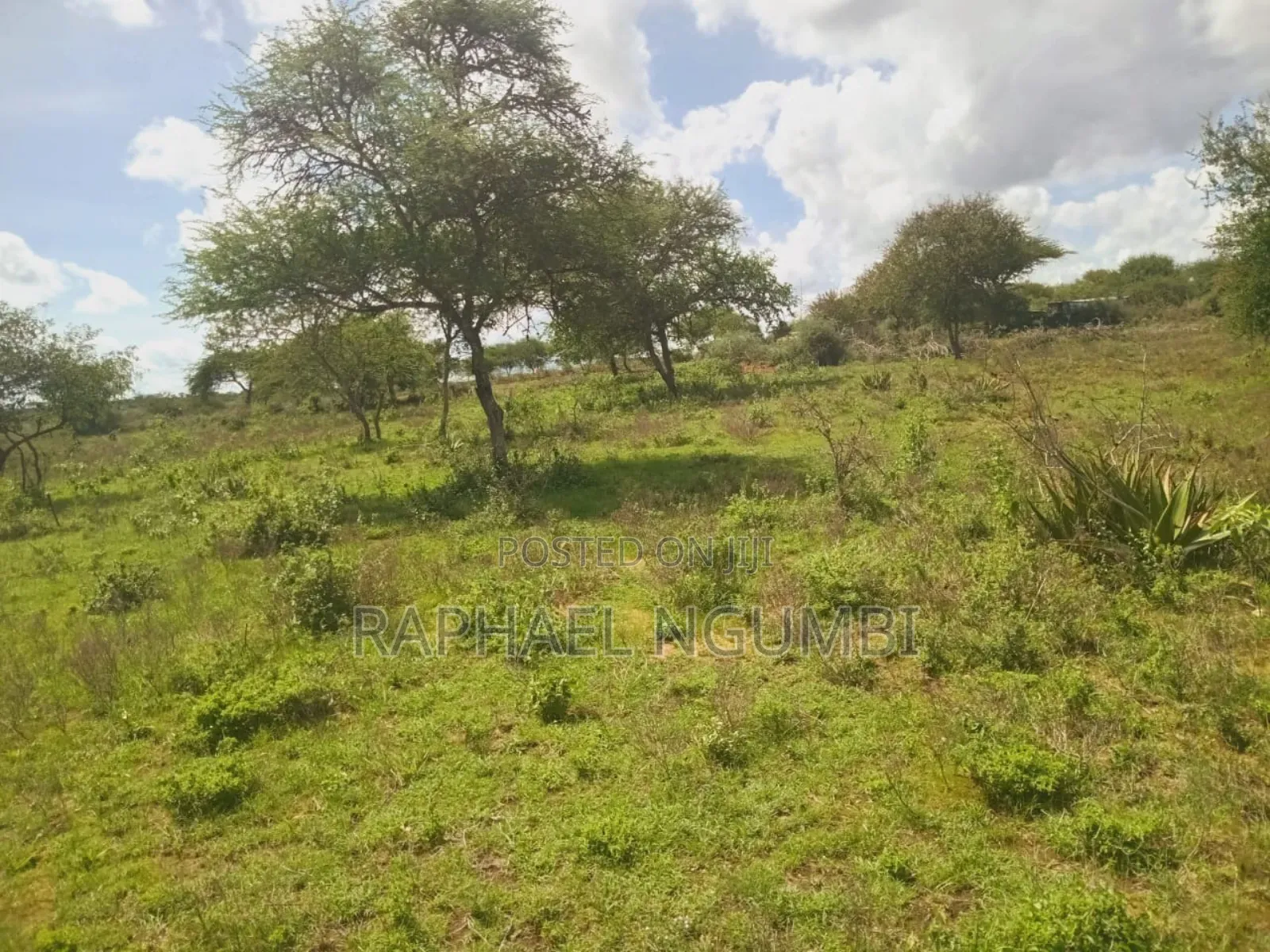 10 Acres at Konza Ulu in Malili