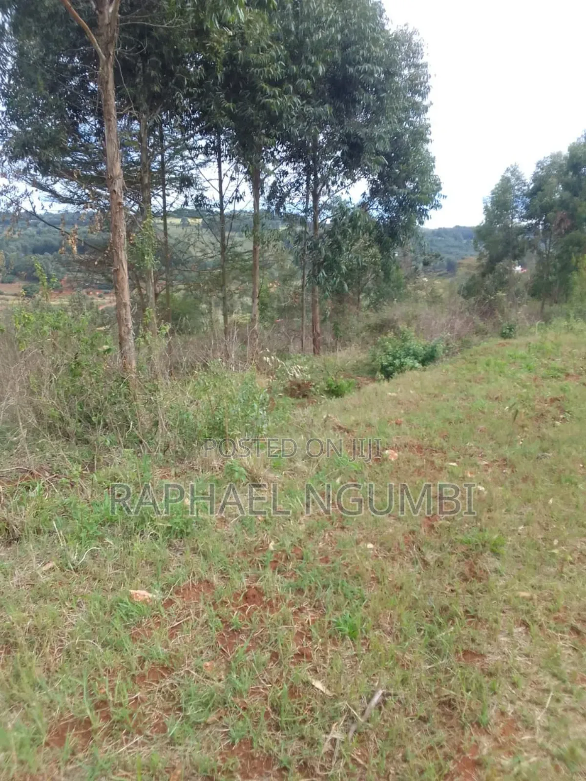7 Acres at Mua Hills Kitanga in Mua Hills