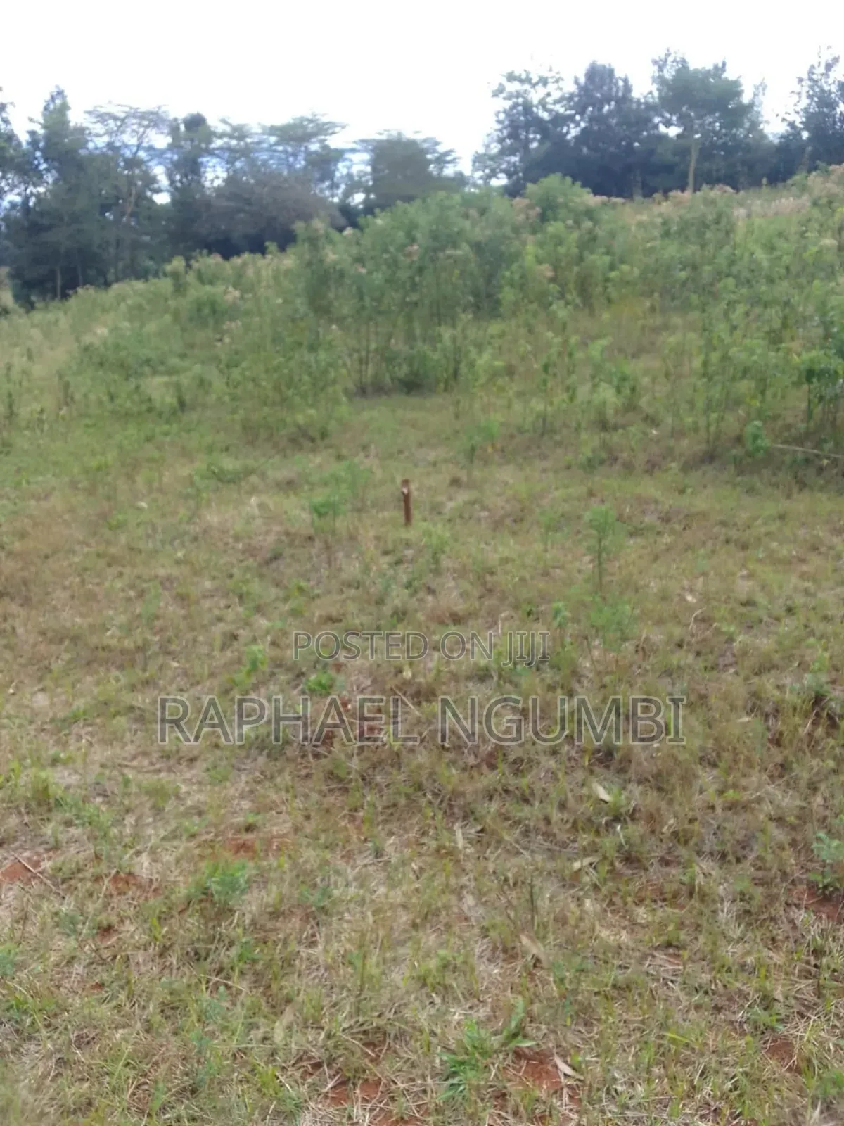7 Acres at Mua Hills Kitanga in Mua Hills