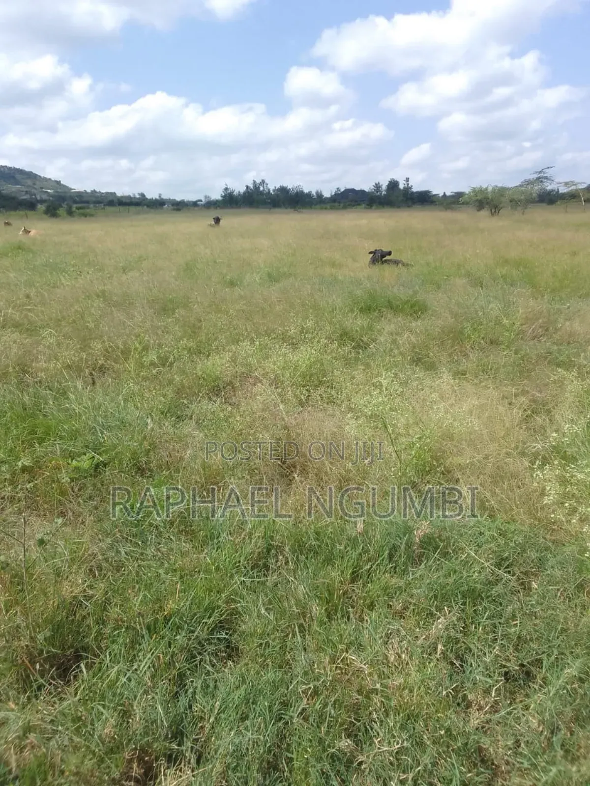 54 Acres Along Lukenya Kwale Road in Lukenya