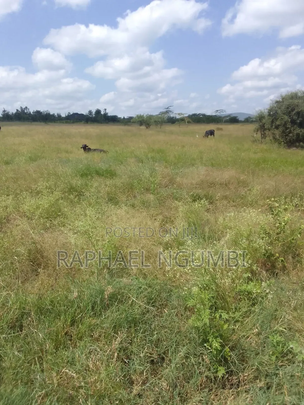 54 Acres Along Lukenya Kwale Road in Lukenya