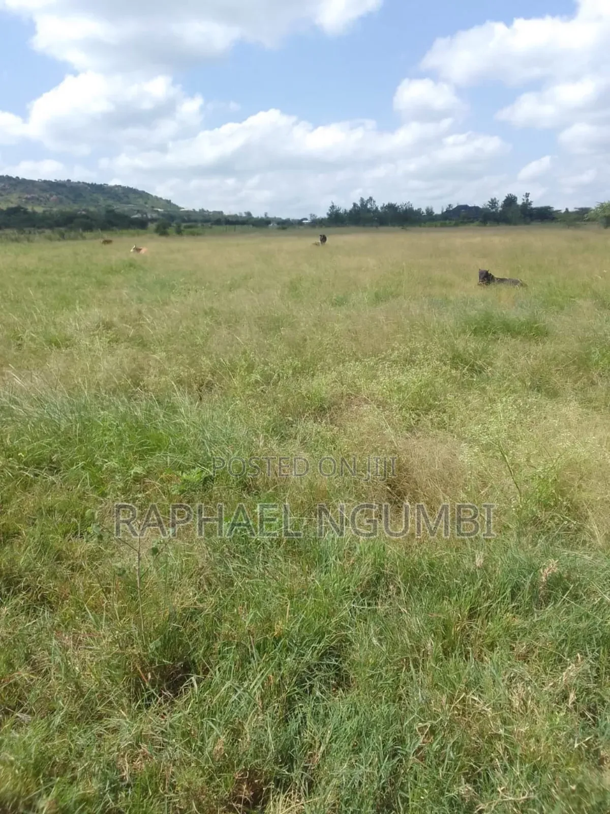 54 Acres Along Lukenya Kwale Road in Lukenya