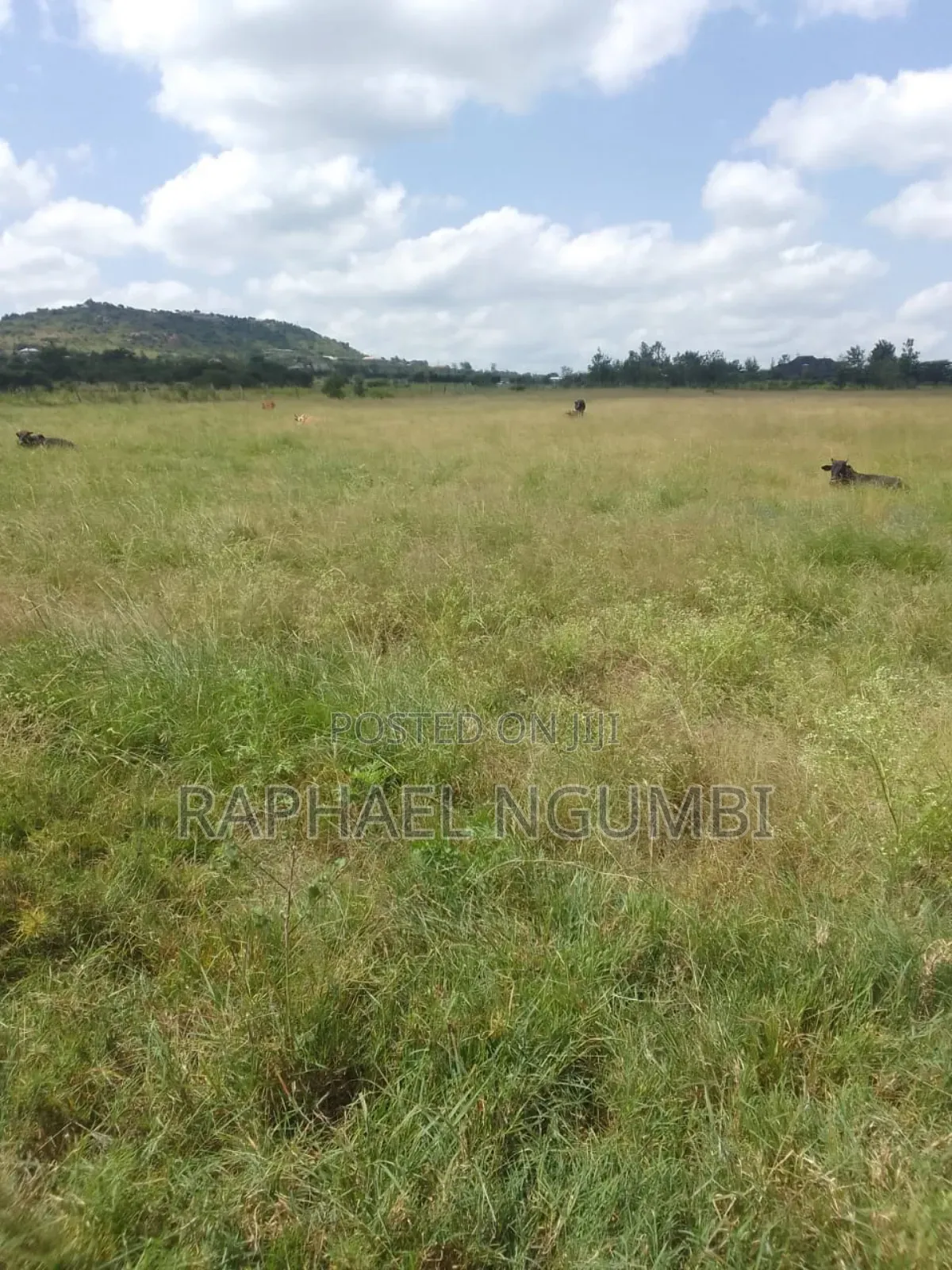 54 Acres Along Lukenya Kwale Road in Lukenya