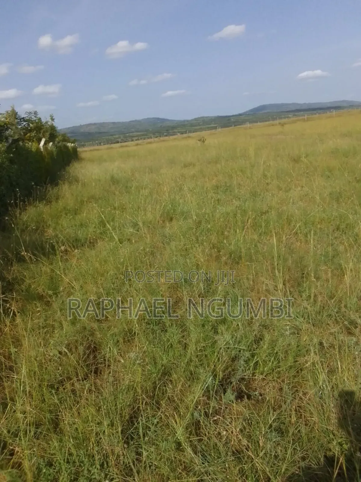 100 Acres at Daystar University in Lukenya