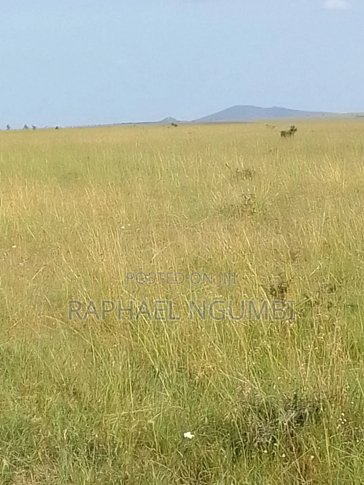 100 Acres at Daystar University in Lukenya
