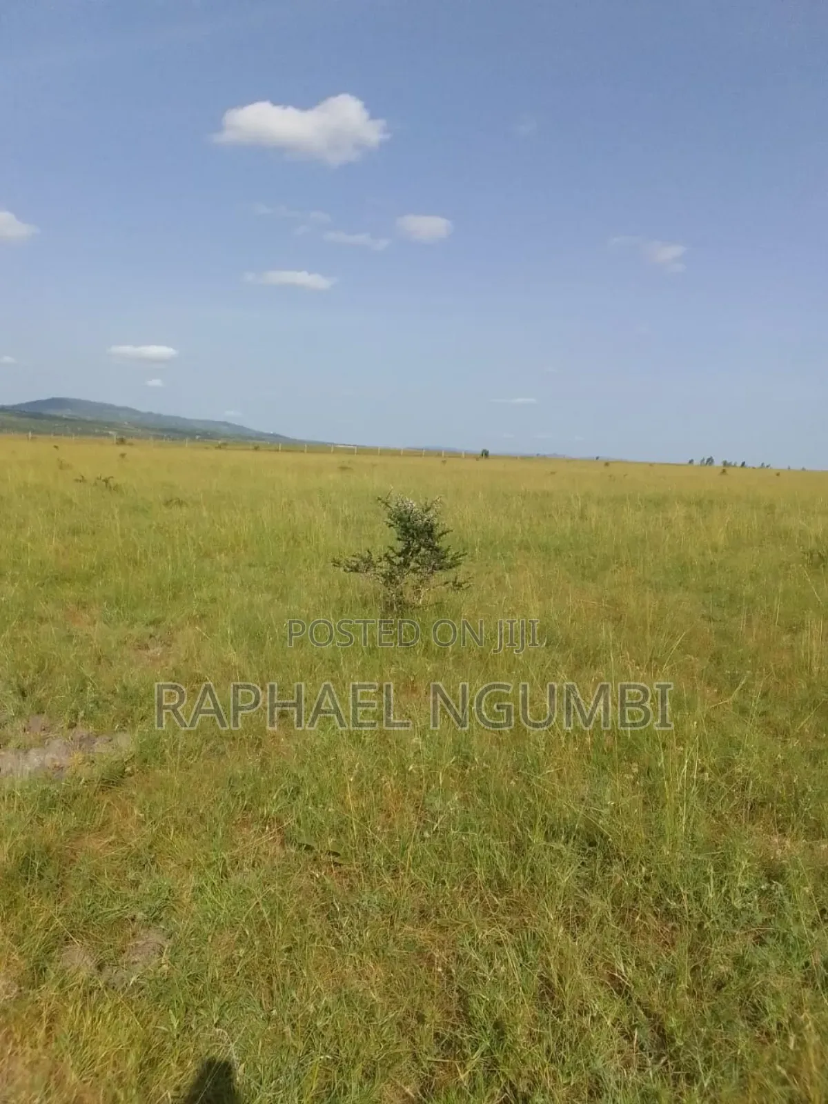 100 Acres at Daystar University in Lukenya