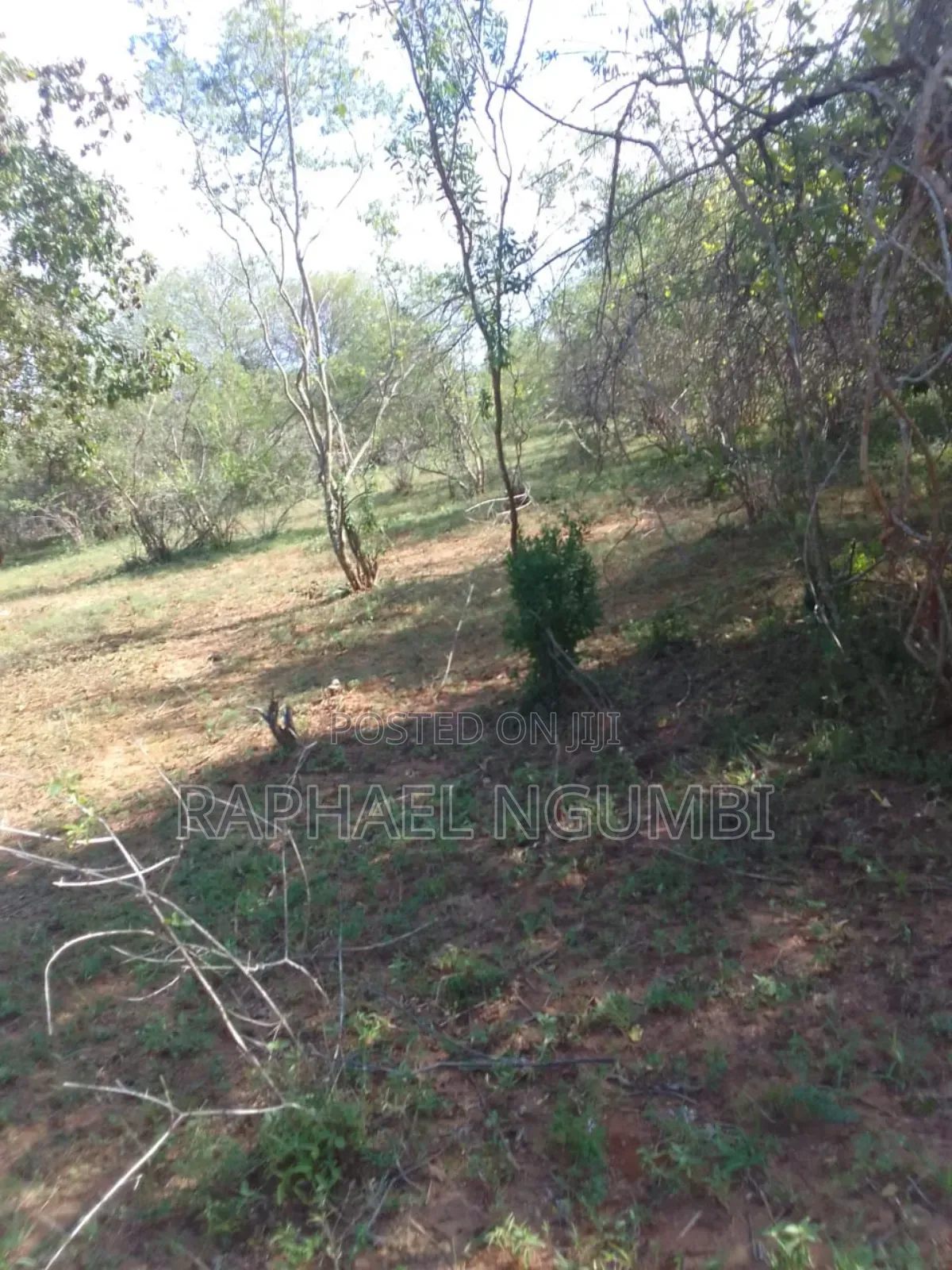 100 Acres At Kitui Mutomo Mutha in Mutomo