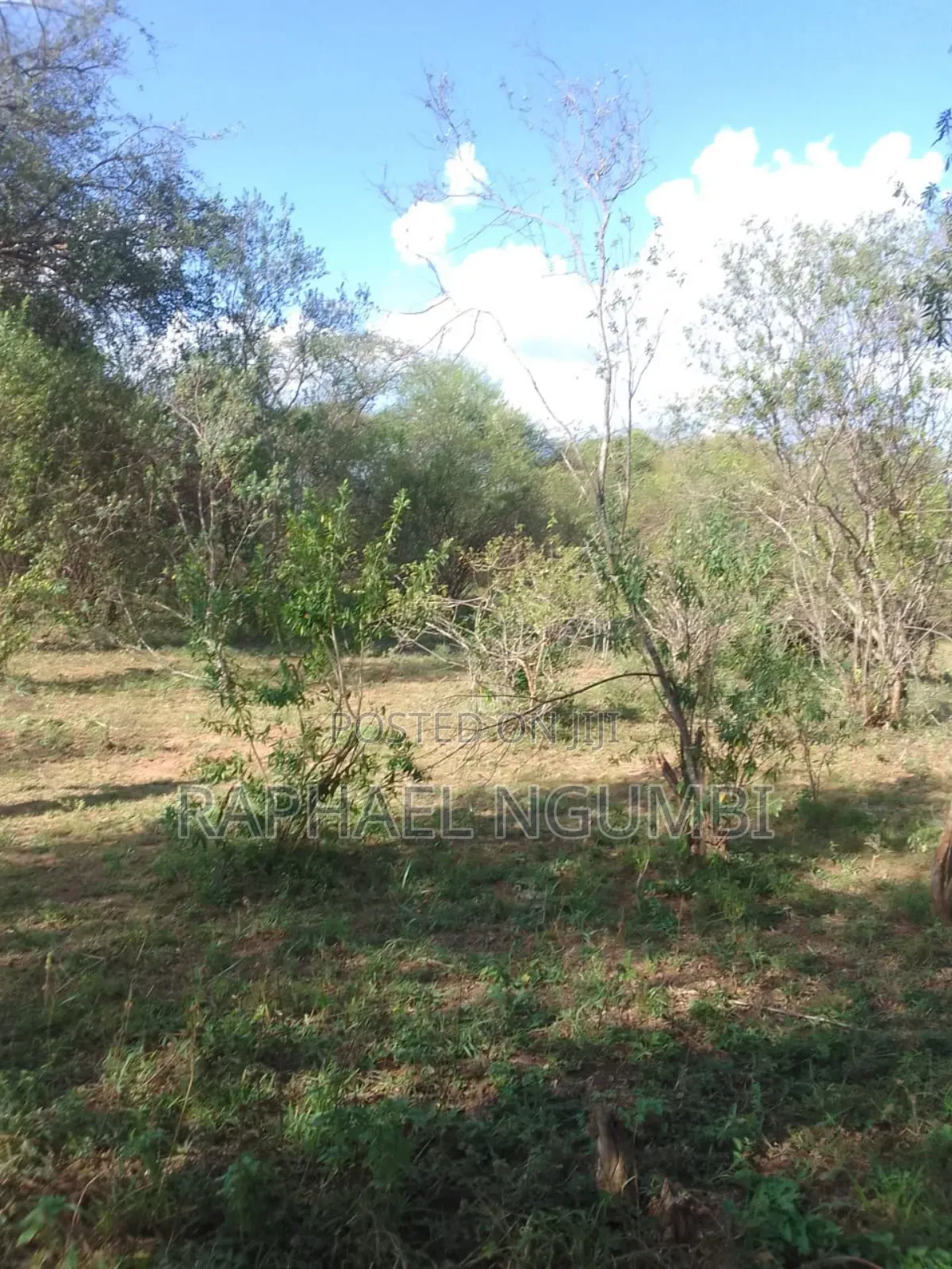 100 Acres At Kitui Mutomo Mutha in Mutomo