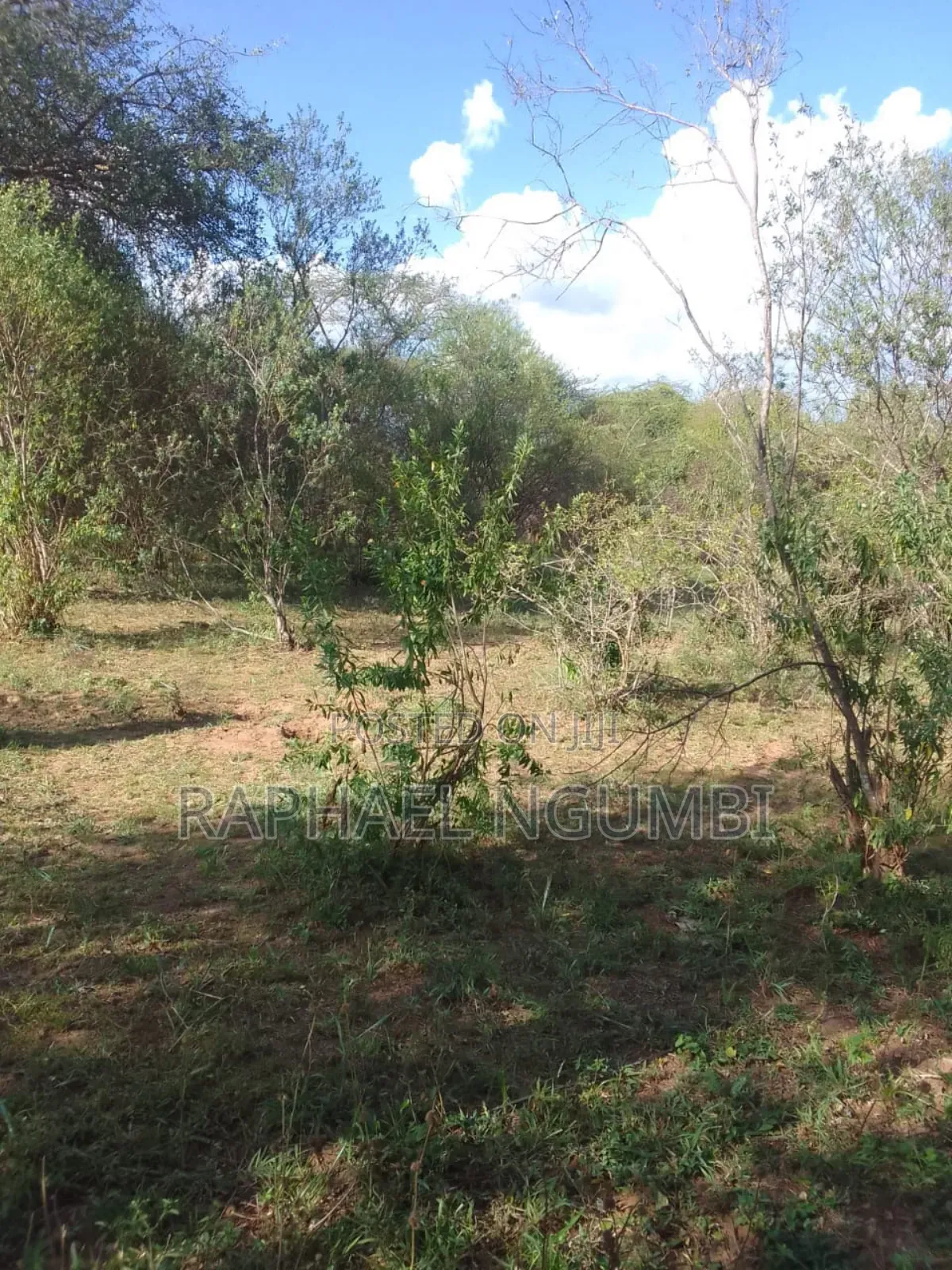 100 Acres At Kitui Mutomo Mutha in Mutomo