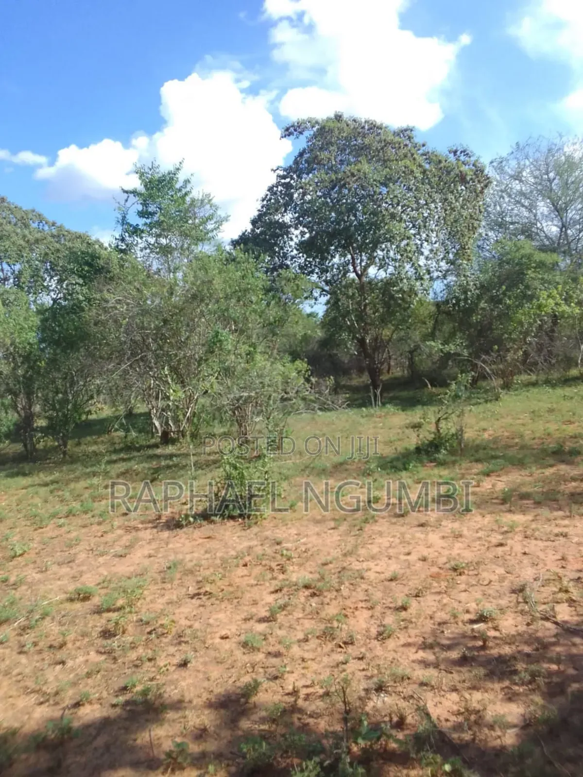 100 Acres At Kitui Mutomo Mutha in Mutomo