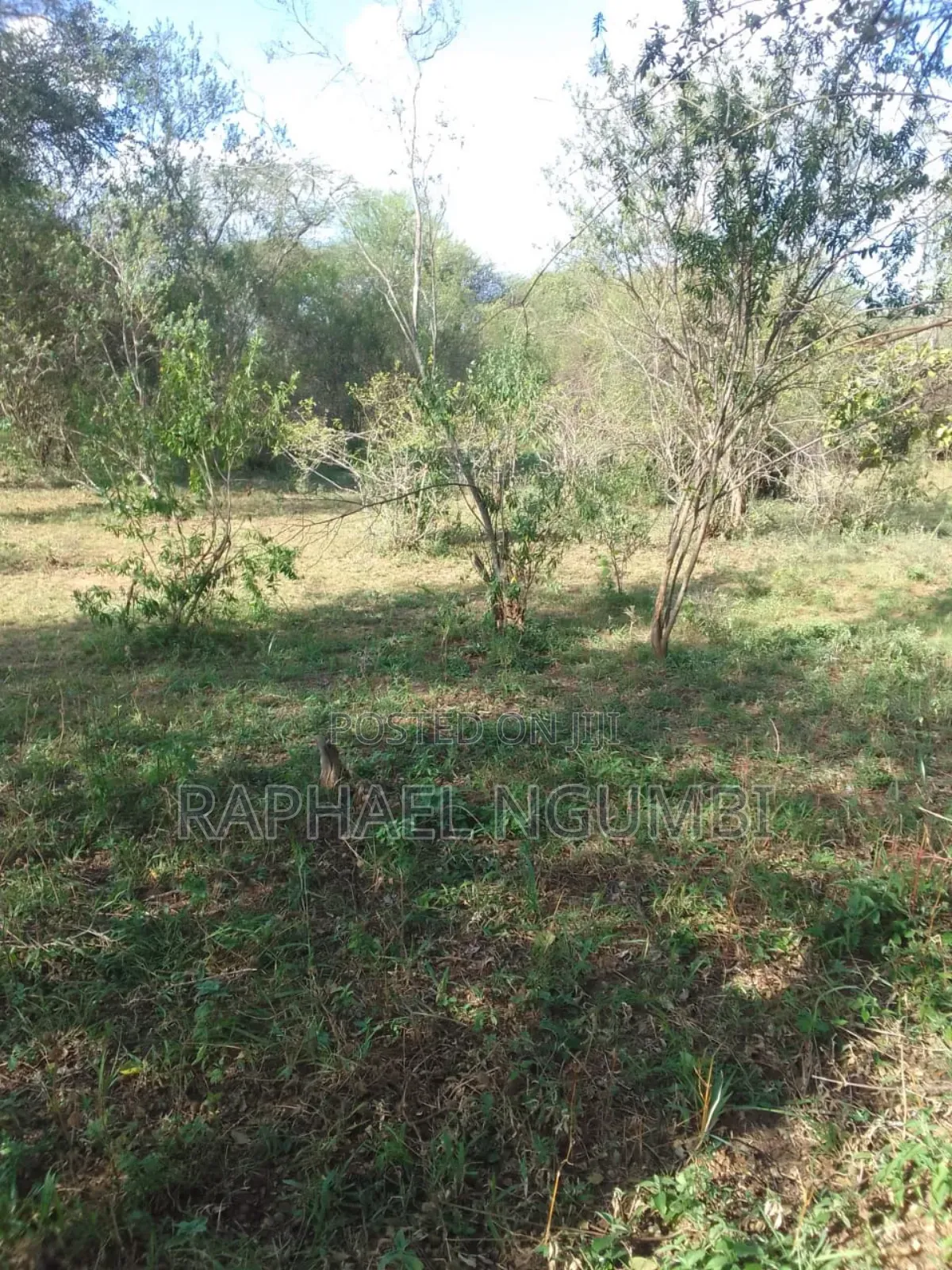 100 Acres At Kitui Mutomo Mutha in Mutomo