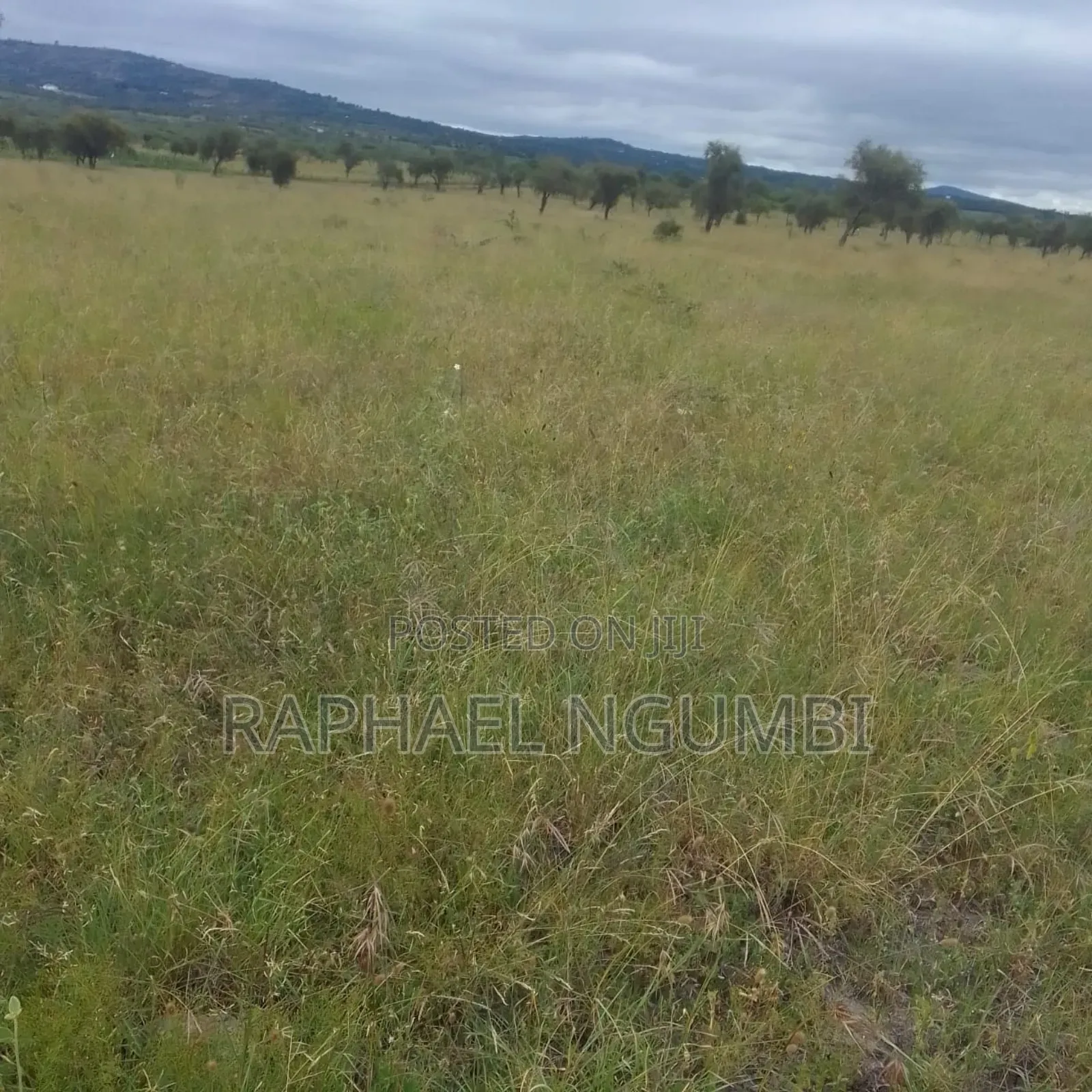 2,000 Acres at Athi River Lukenya Stone Athi in Athi River