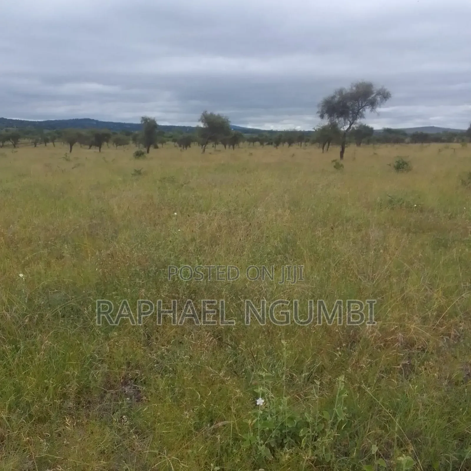 2,000 Acres at Athi River Lukenya Stone Athi in Athi River