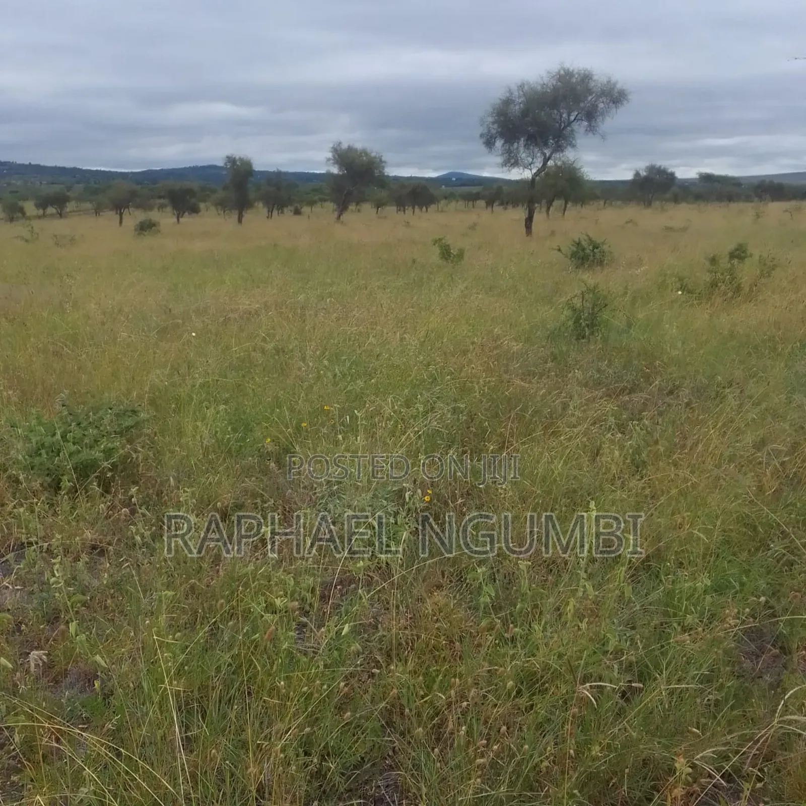 2,000 Acres at Athi River Lukenya Stone Athi in Athi River