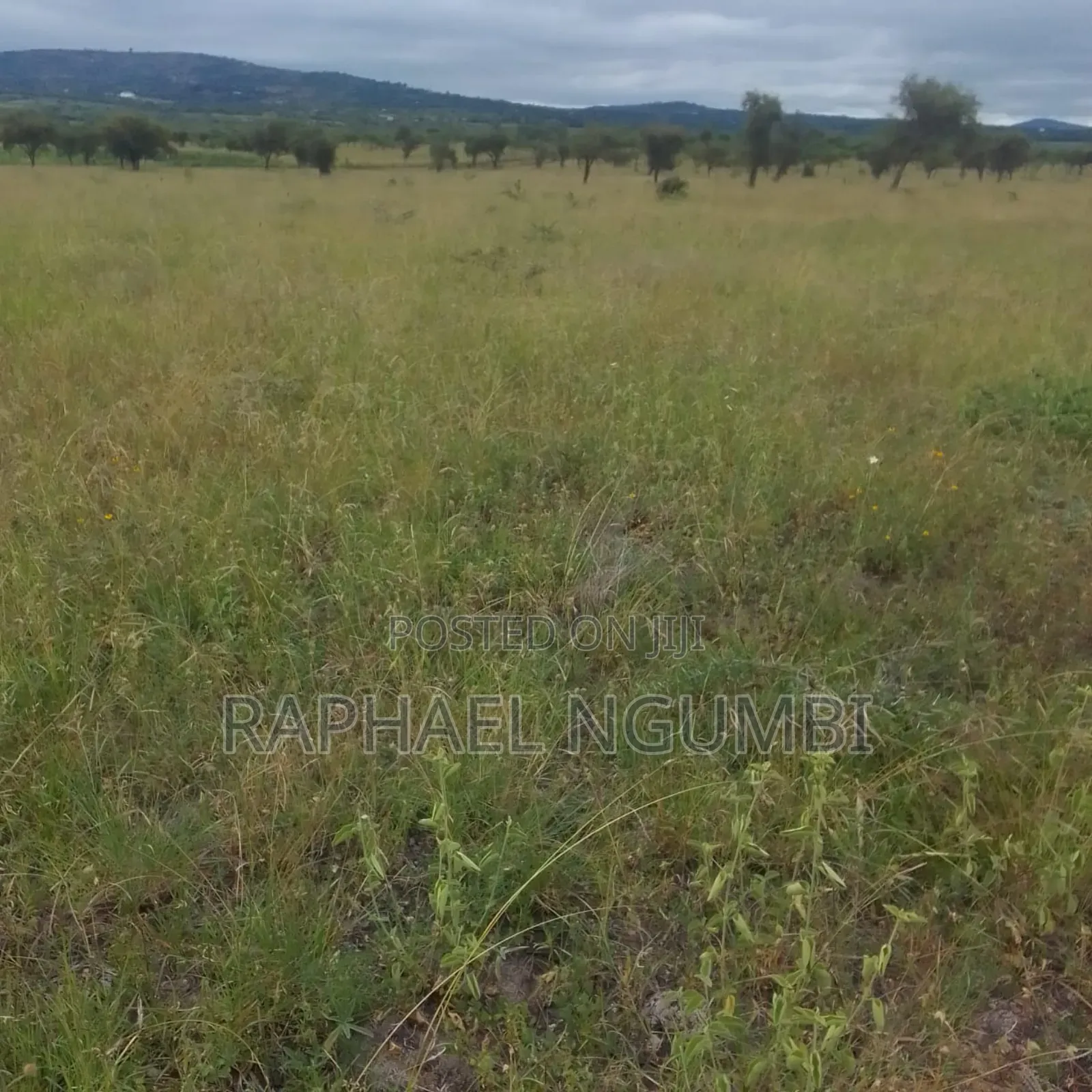 2,000 Acres at Athi River Lukenya Stone Athi in Athi River