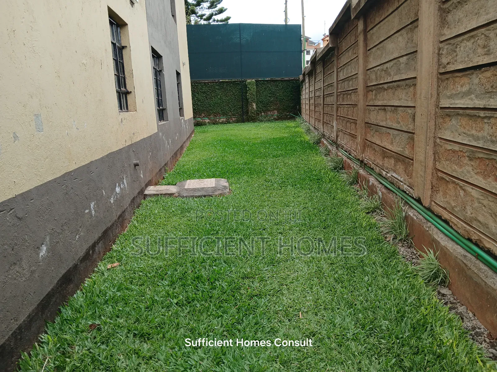 1bdrm Apartment in Ruaka for rent in Ruaka