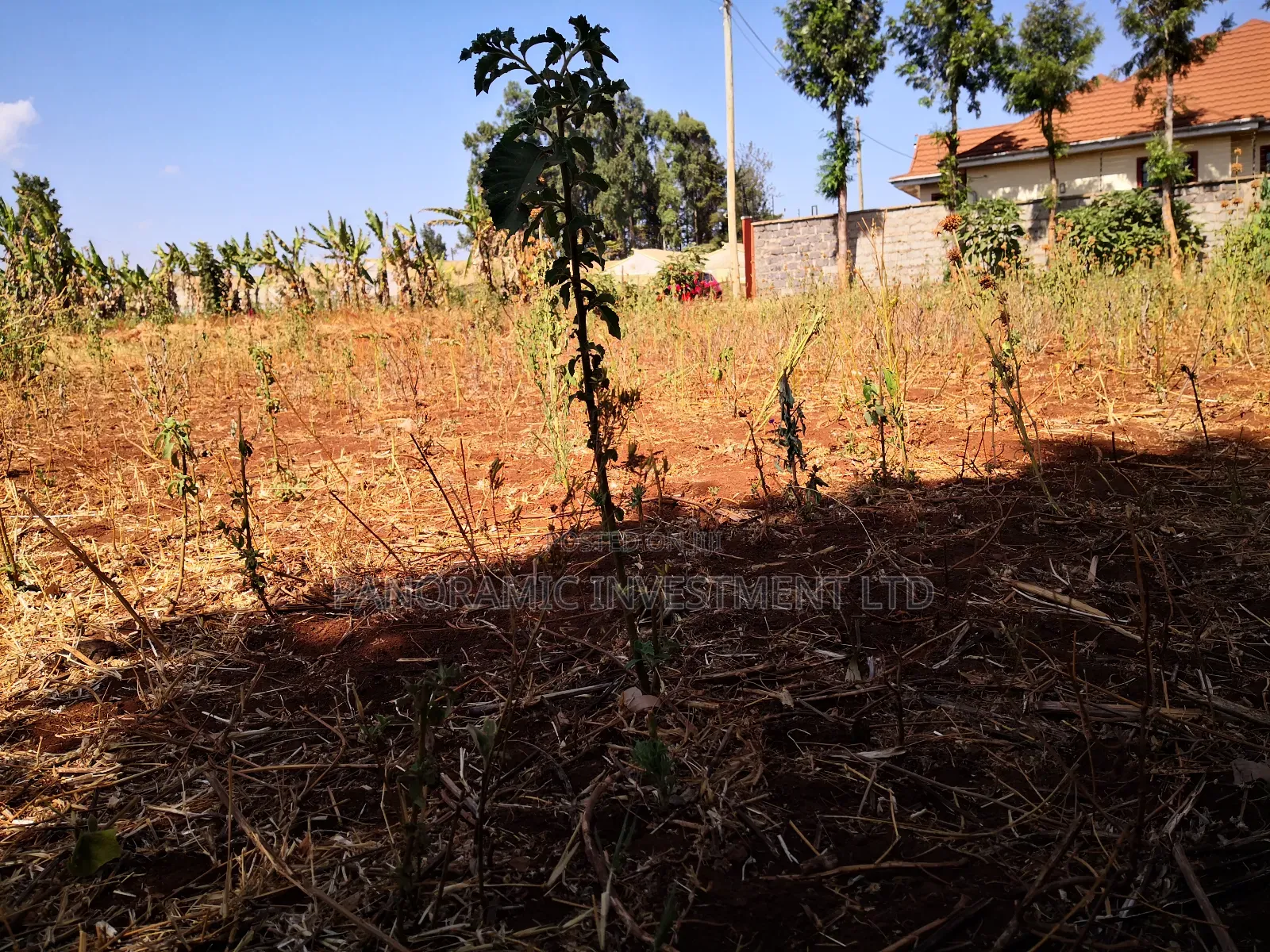 100x100 Plot in Ondiri Kikuyu Kiambu County for Sale. in Kikuyu