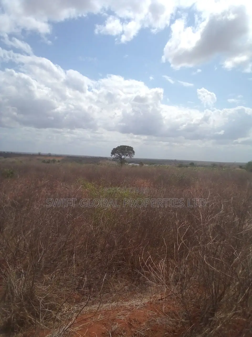 500 Acres Touching Galana River in Malindi Is for Sale in Jilore