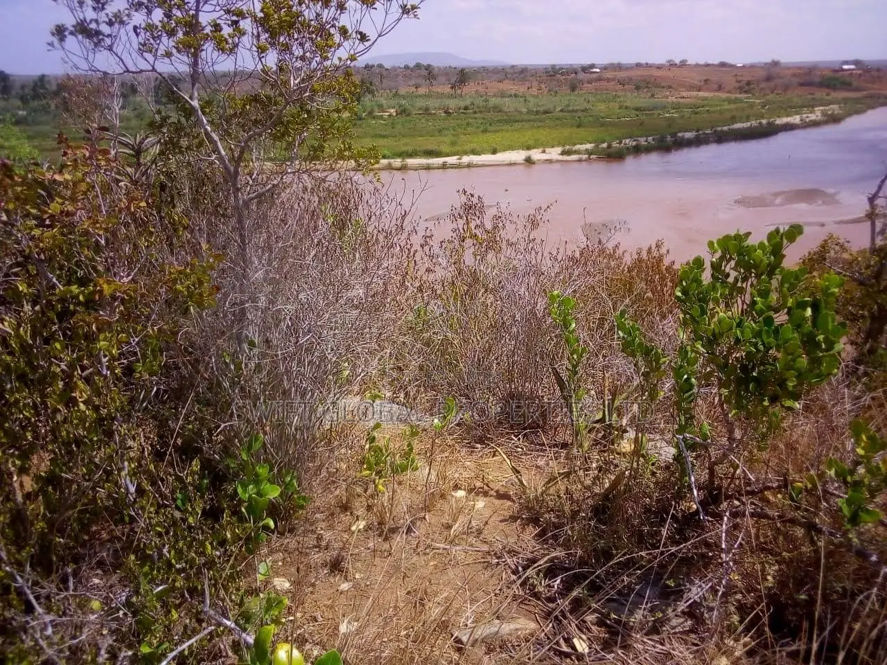7,000 Acres Touching Galana River in Malindi Is for Sale in Jilore