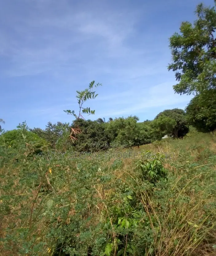 Over 175 Acres on Galana River in Baricho Malindi Is for Sale in Jilore