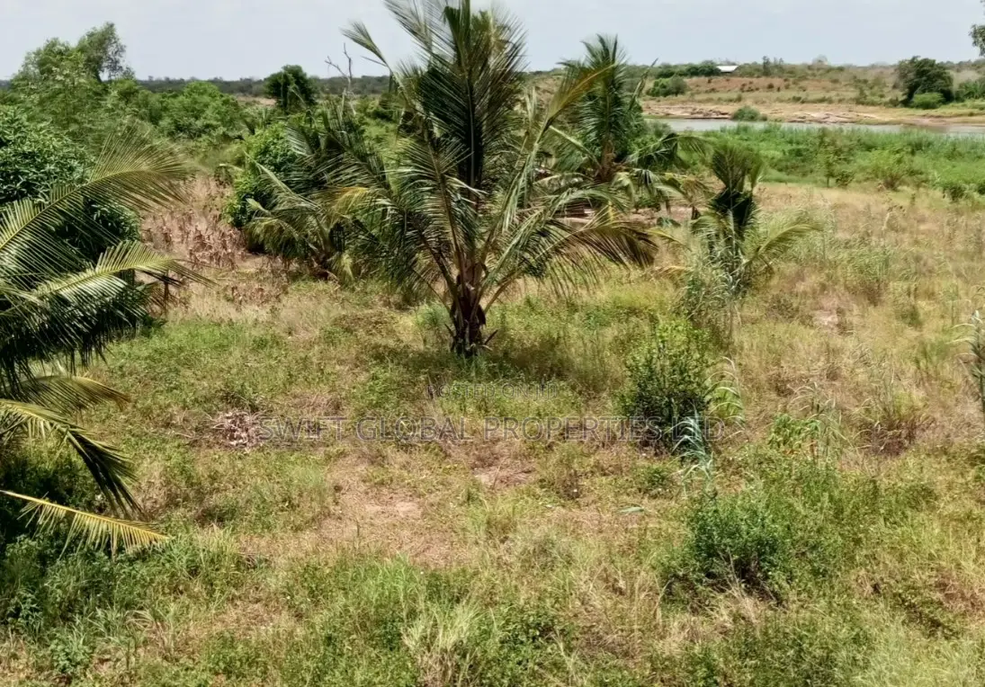 Over 175 Acres on Galana River in Baricho Malindi Is for Sale in Jilore