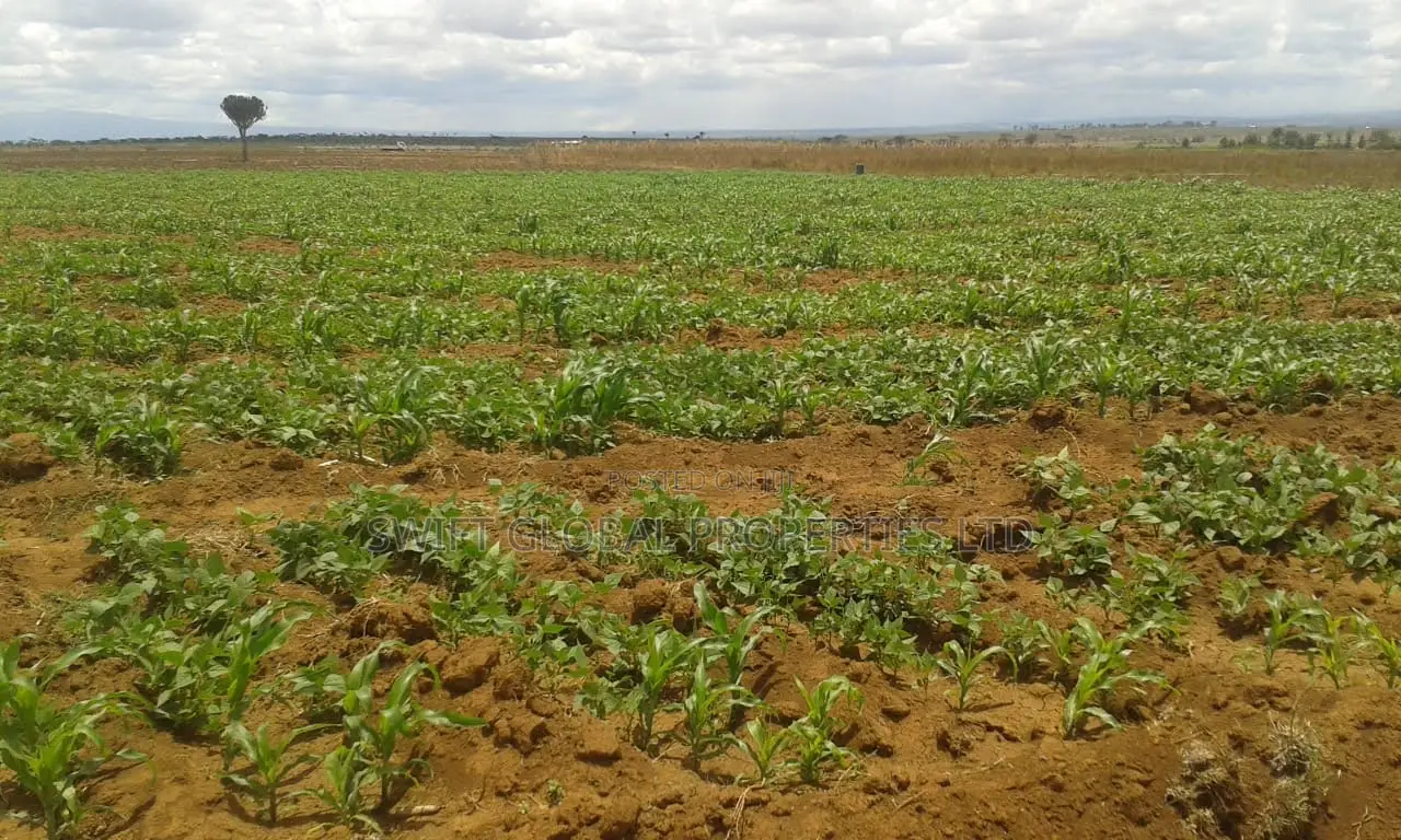 24,000 Acres With Water Is Available for Sale in Malindi in Jilore
