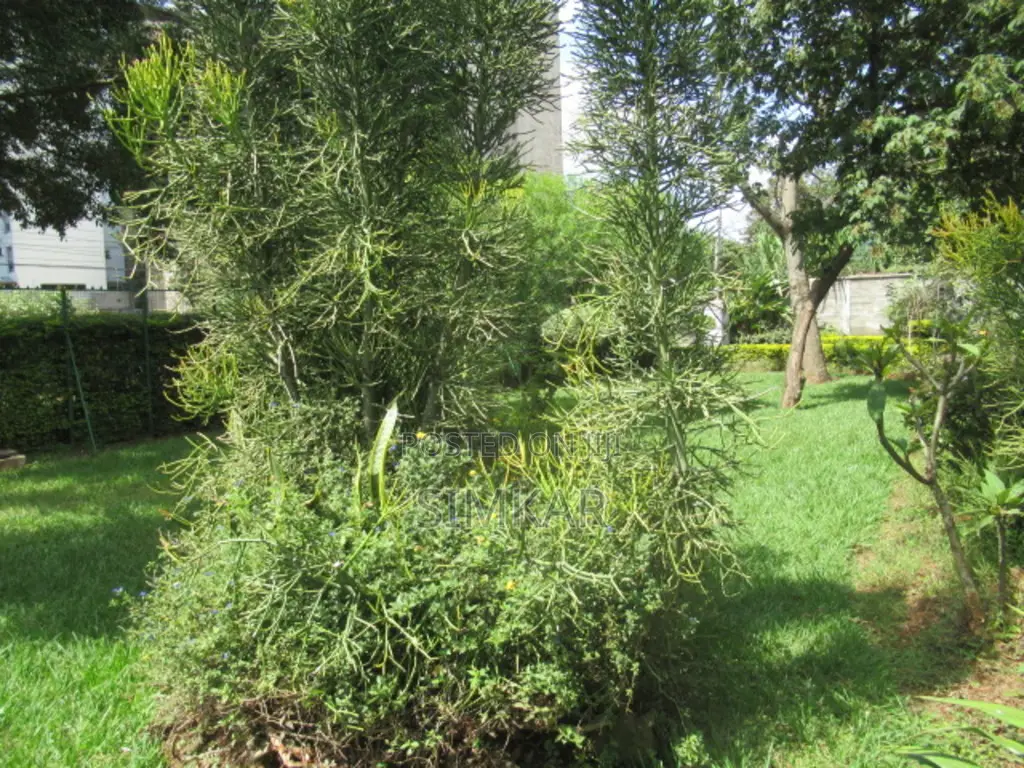 0.5-Acre Plot for Sale in Parklands in Parklands/Highridge