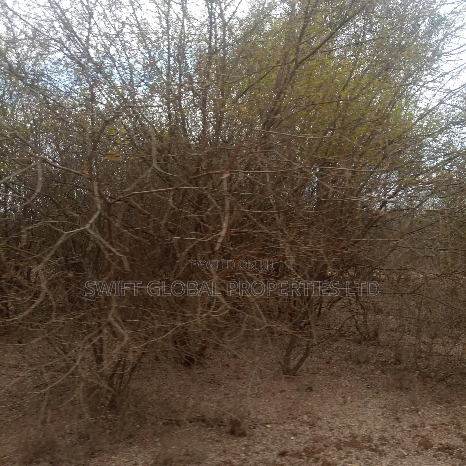 400 Acres Touching Athi River in Kambu Is Available for Sale in Mtito Andei
