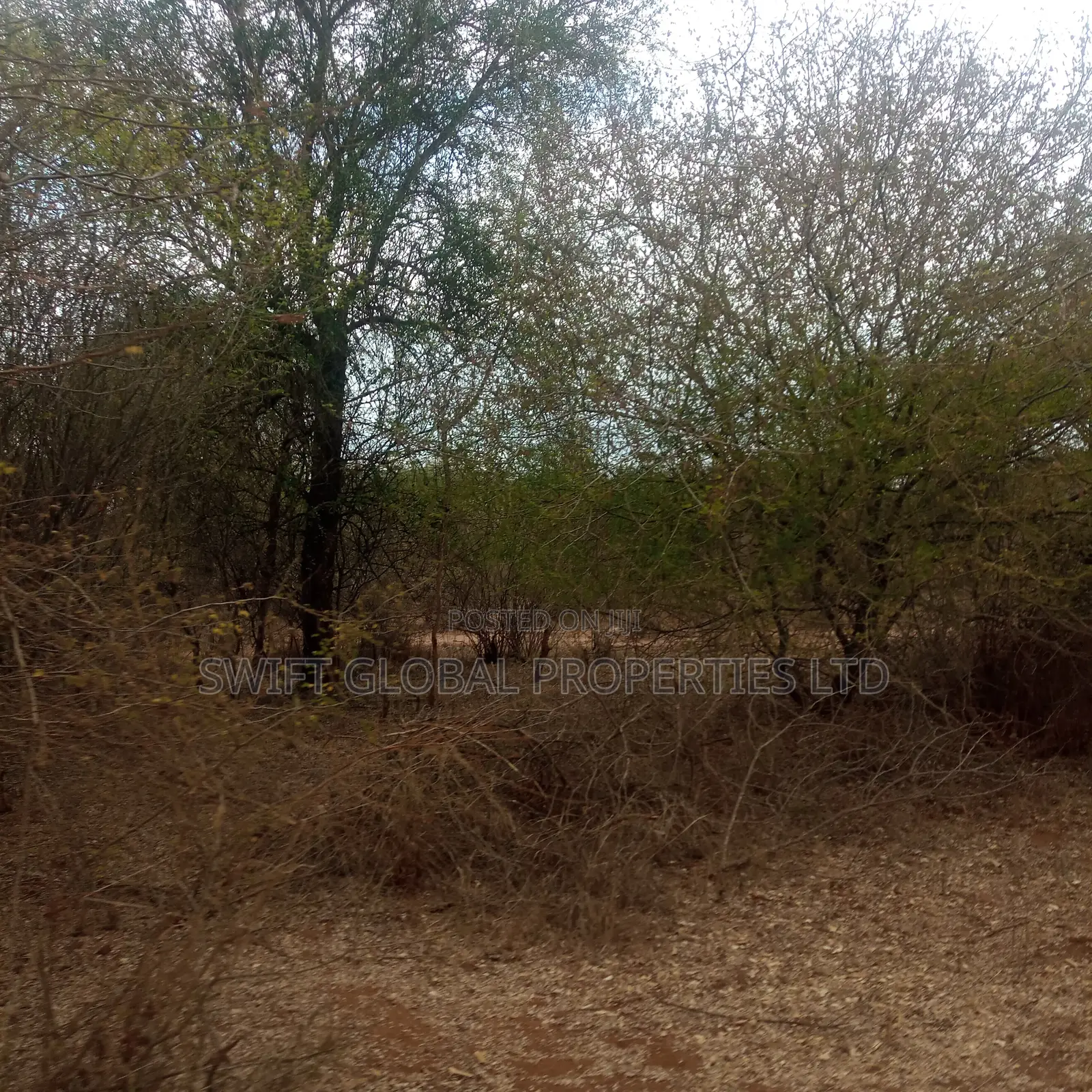 400 Acres Touching Athi River in Kambu Is Available for Sale in Mtito Andei