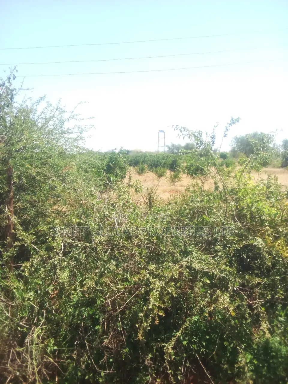 90 Acres Touching Athi River in Kambu Is Available for Sale in Mtito Andei