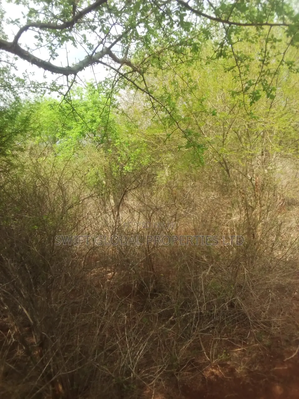 60 Acres With Permanent Water in Kambu Makueni Is for Sale in Mtito Andei