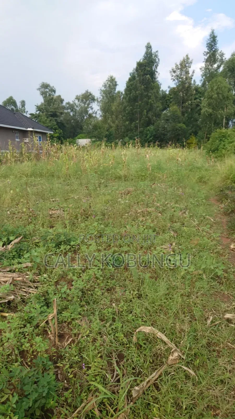 0.3ha Land in Kisumu Chiga in Chiga