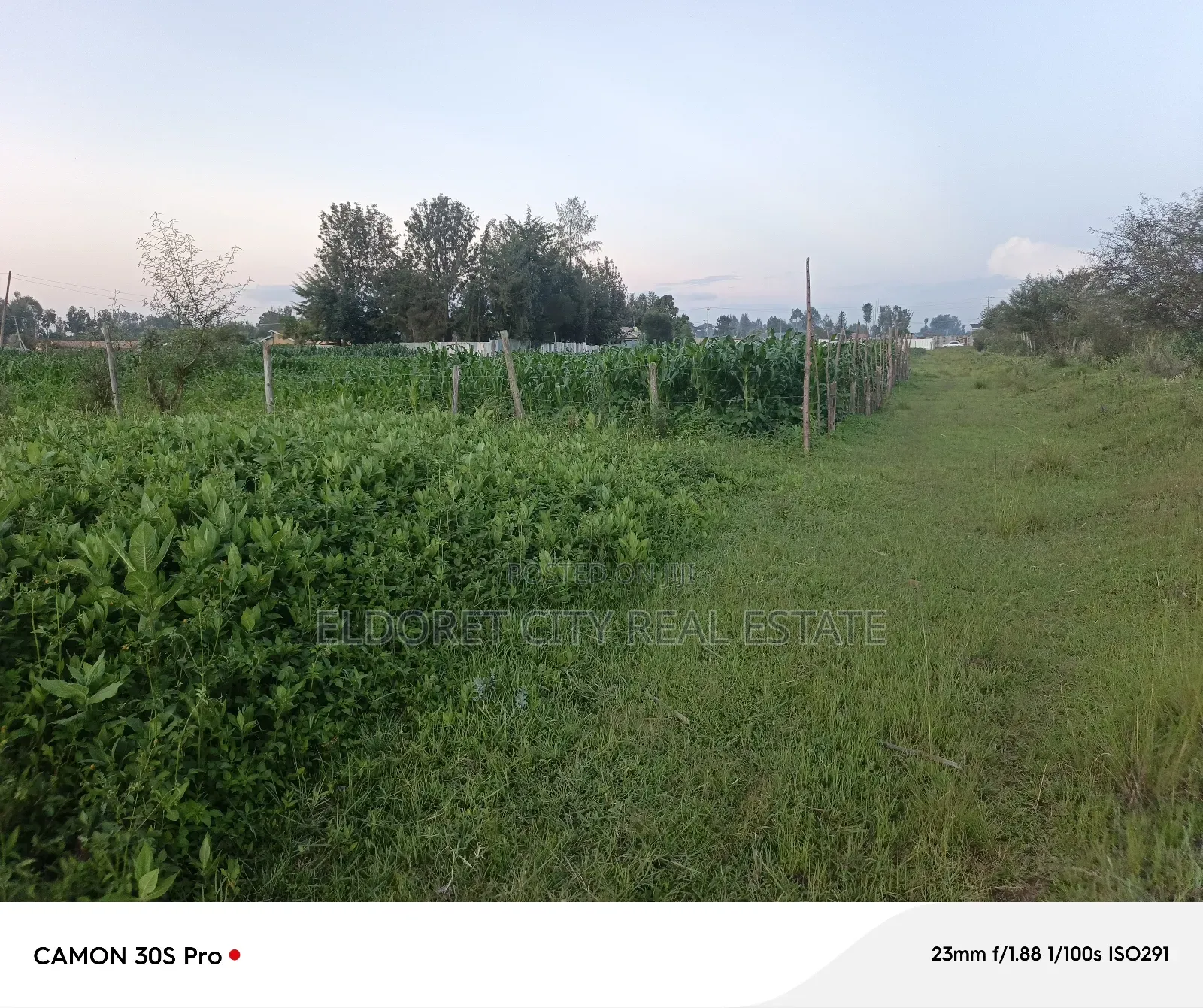 1/8 Plot Kimumu Better Farm. in MTRH Area