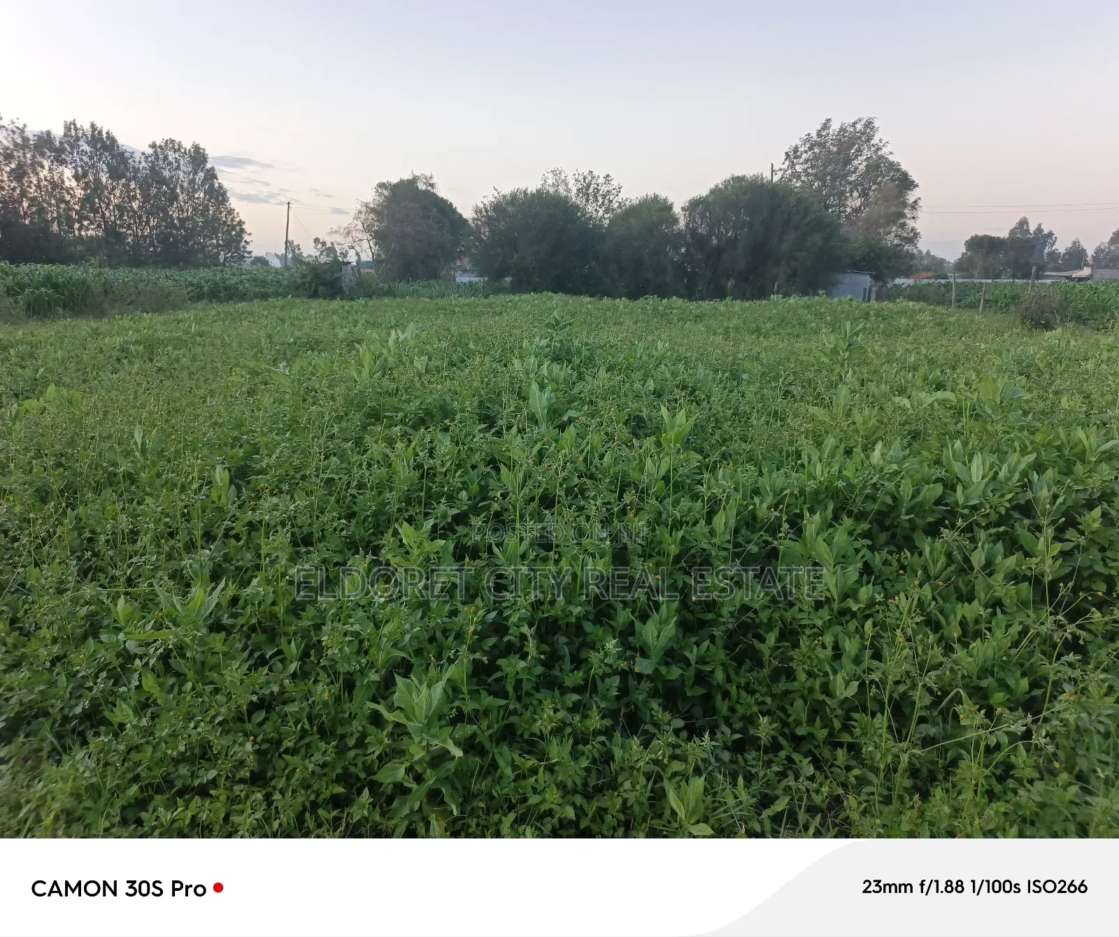 1/8 Plot Kimumu Better Farm. in MTRH Area