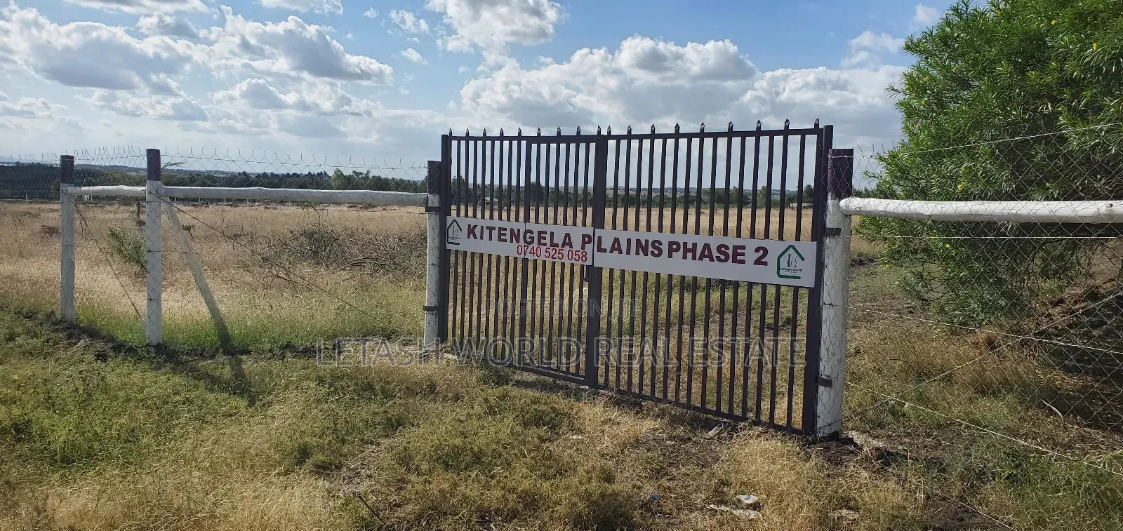 50 by 100 Ft Plots in Kitengela 500 MTRS From the Highway in Kitengela