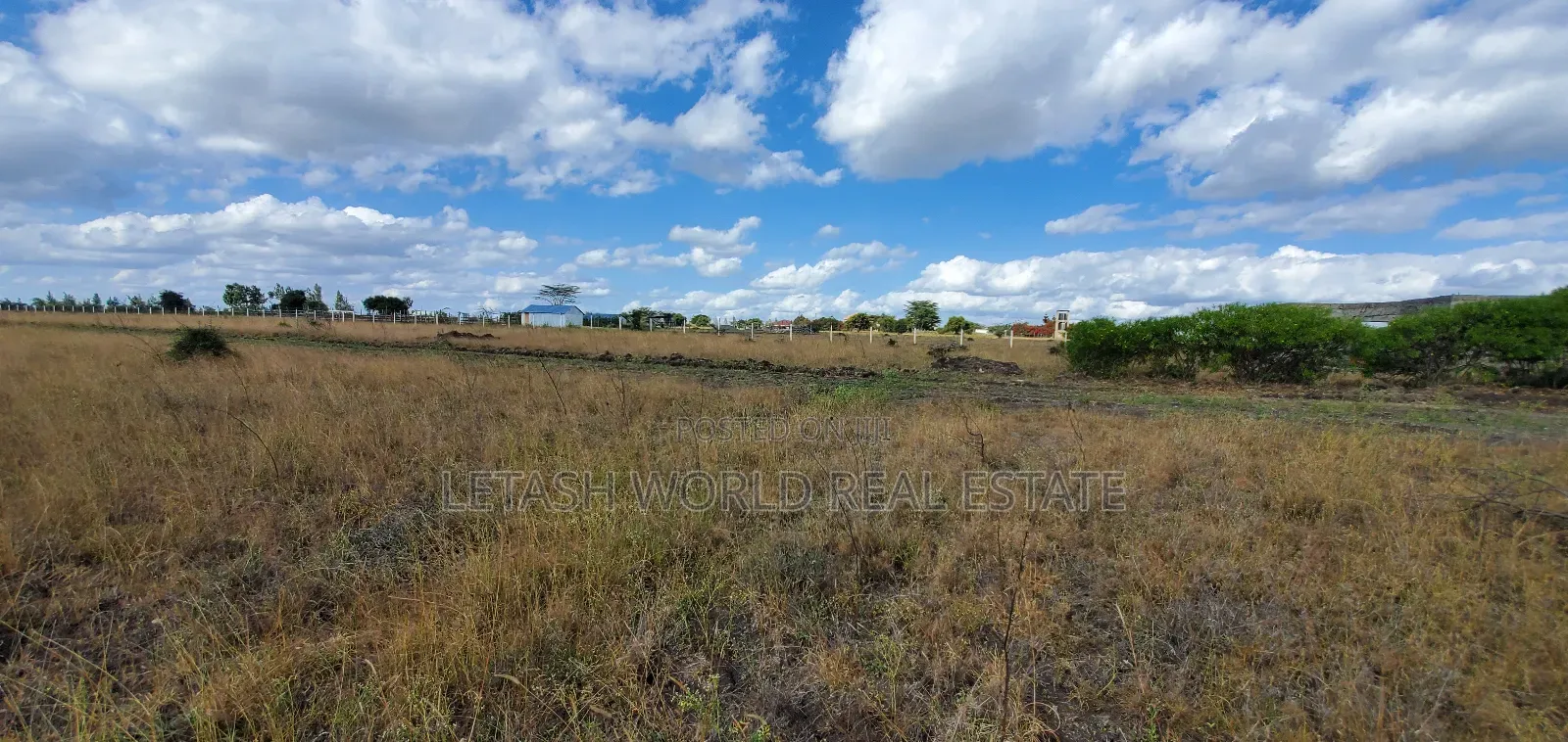 50 by 100 Ft Plots in Kitengela 500 MTRS From the Highway in Kitengela