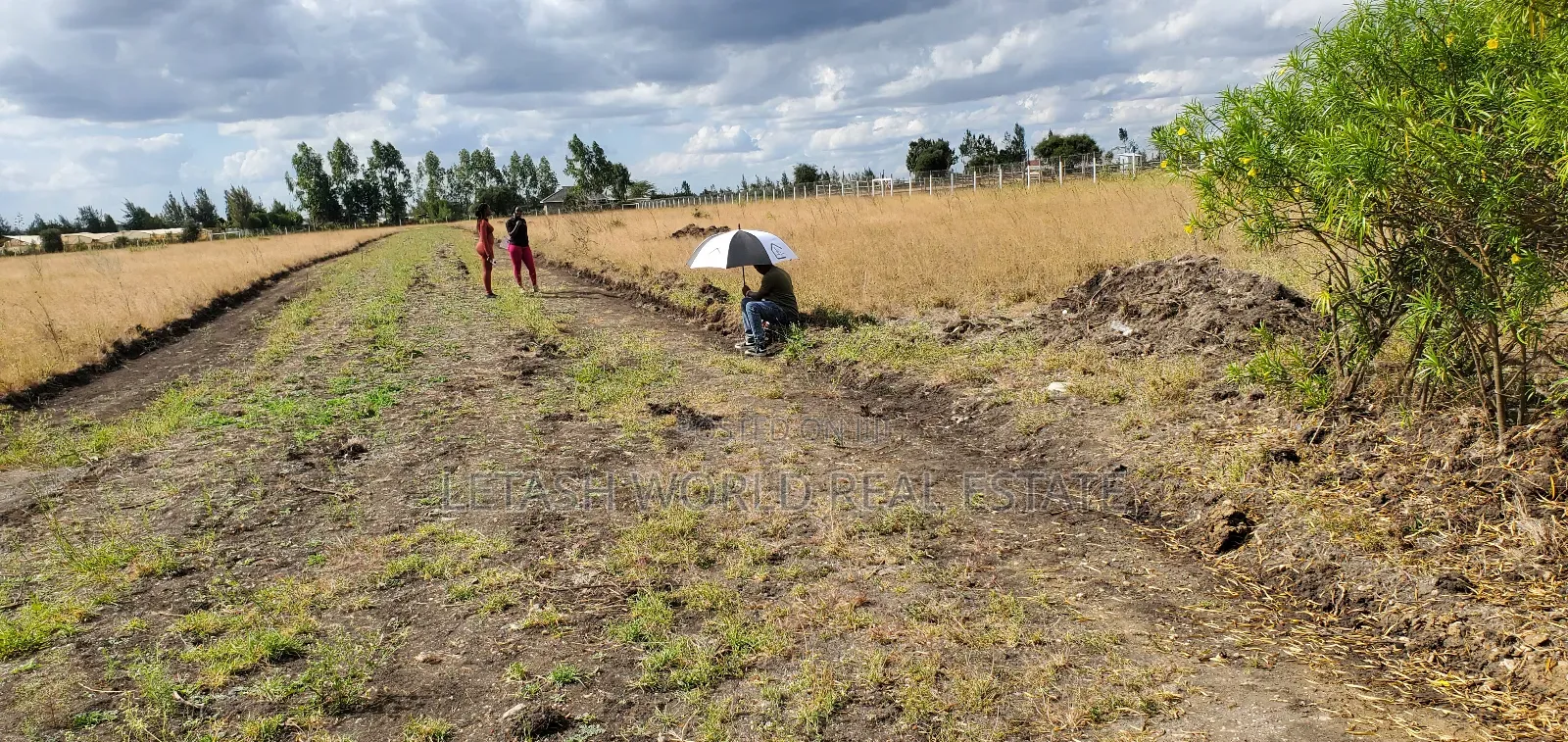 50 by 100 Ft Plots in Kitengela 500 MTRS From the Highway in Kitengela