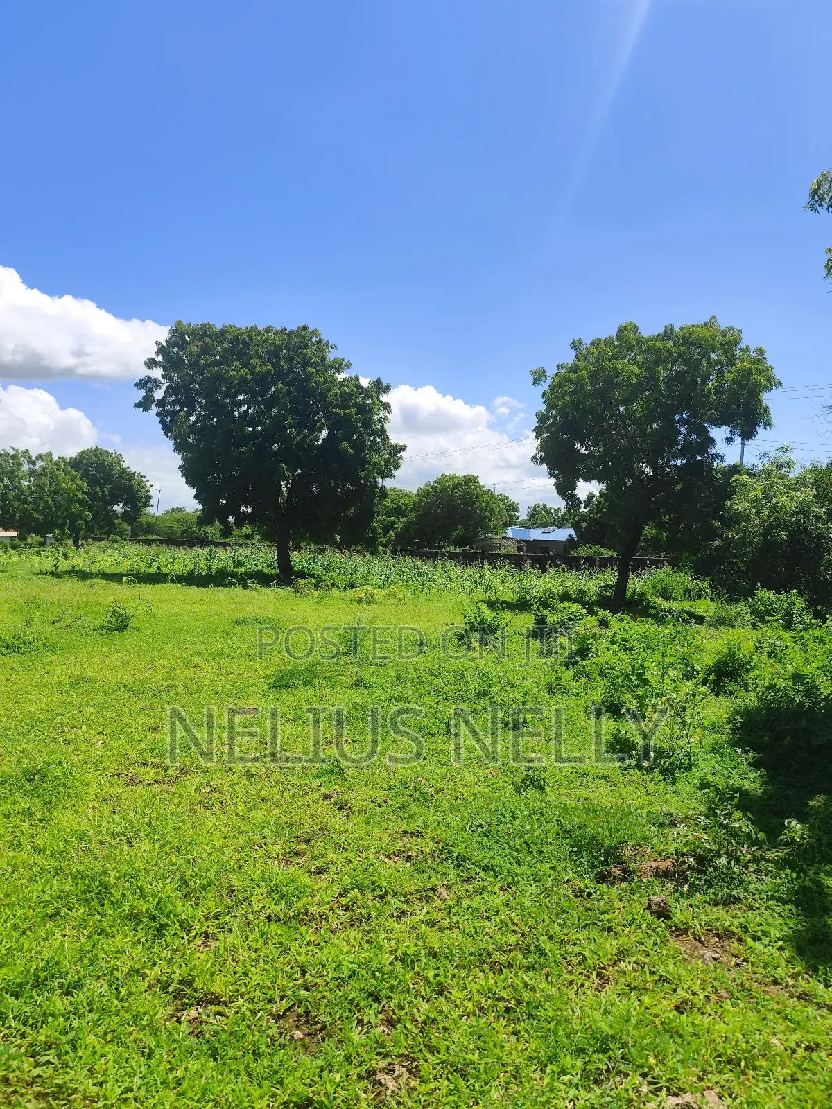 3acres 2nd Row Beach Plots Kilifi Bofa in Kilifi North