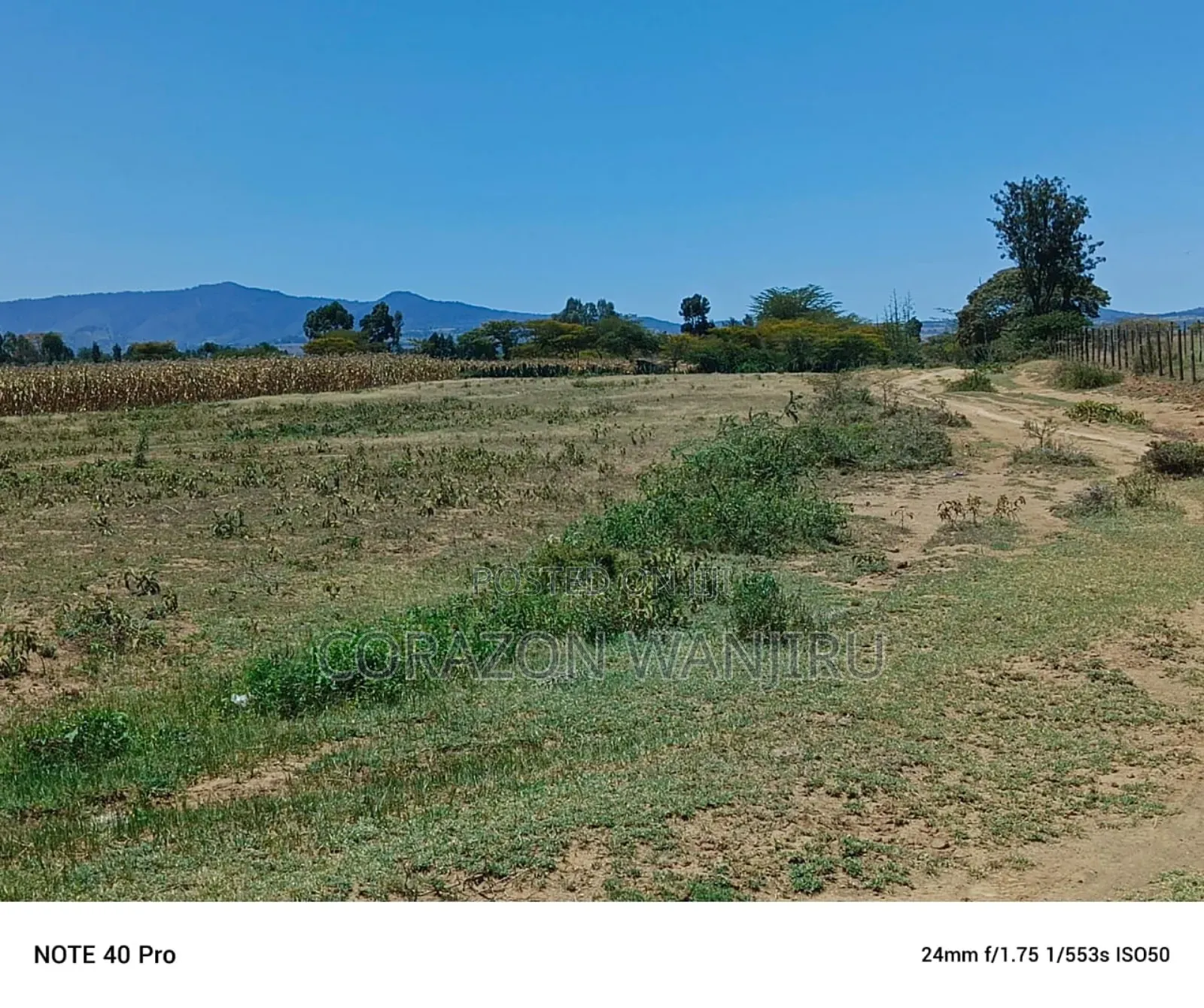 50*100plots in Mutaita Stima Line in Kapkures
